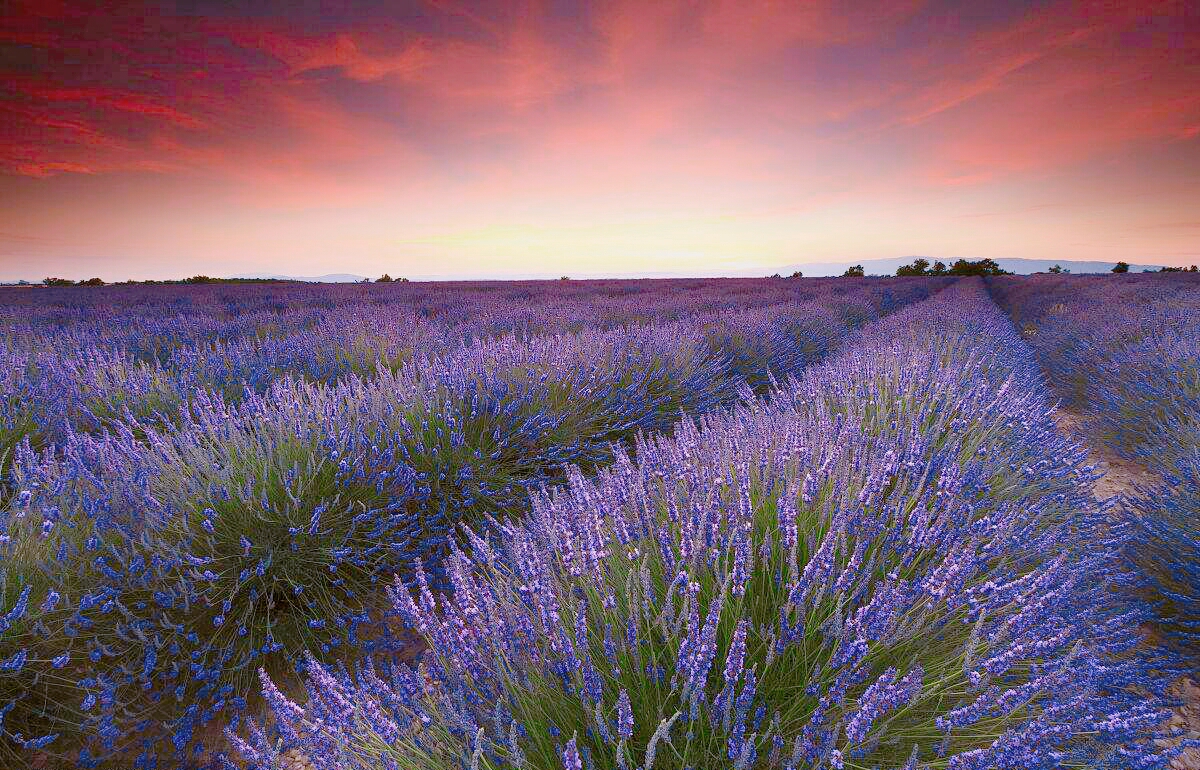 普罗旺斯古罗马遗址 必去历史遗迹有哪些