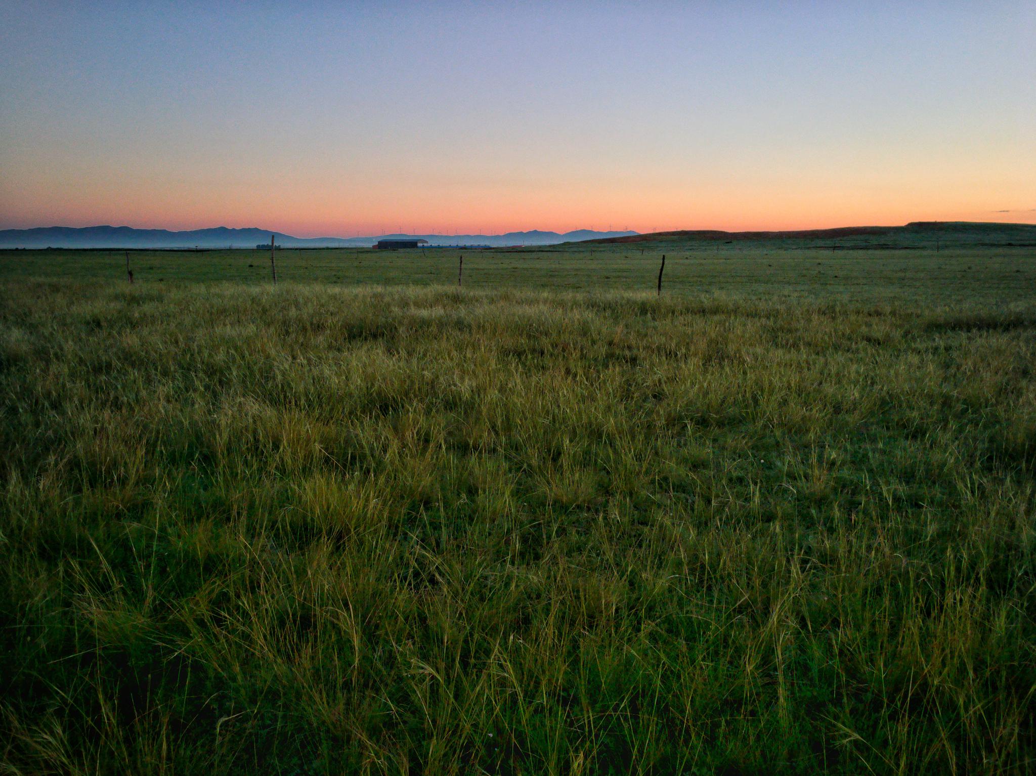 内蒙古上都蓝旗草原牧场清晨色彩