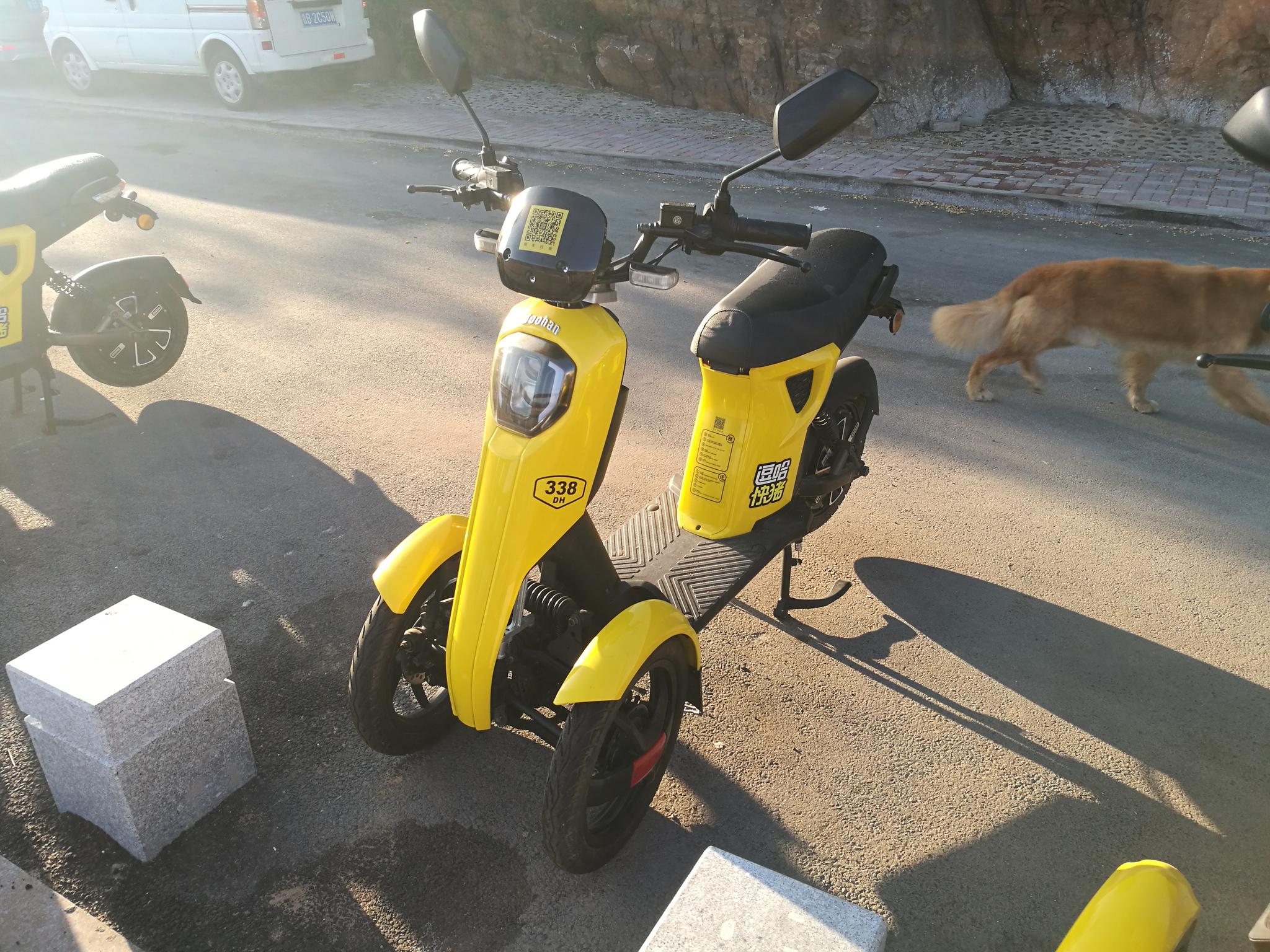 逗哈快猪需要驾照吗