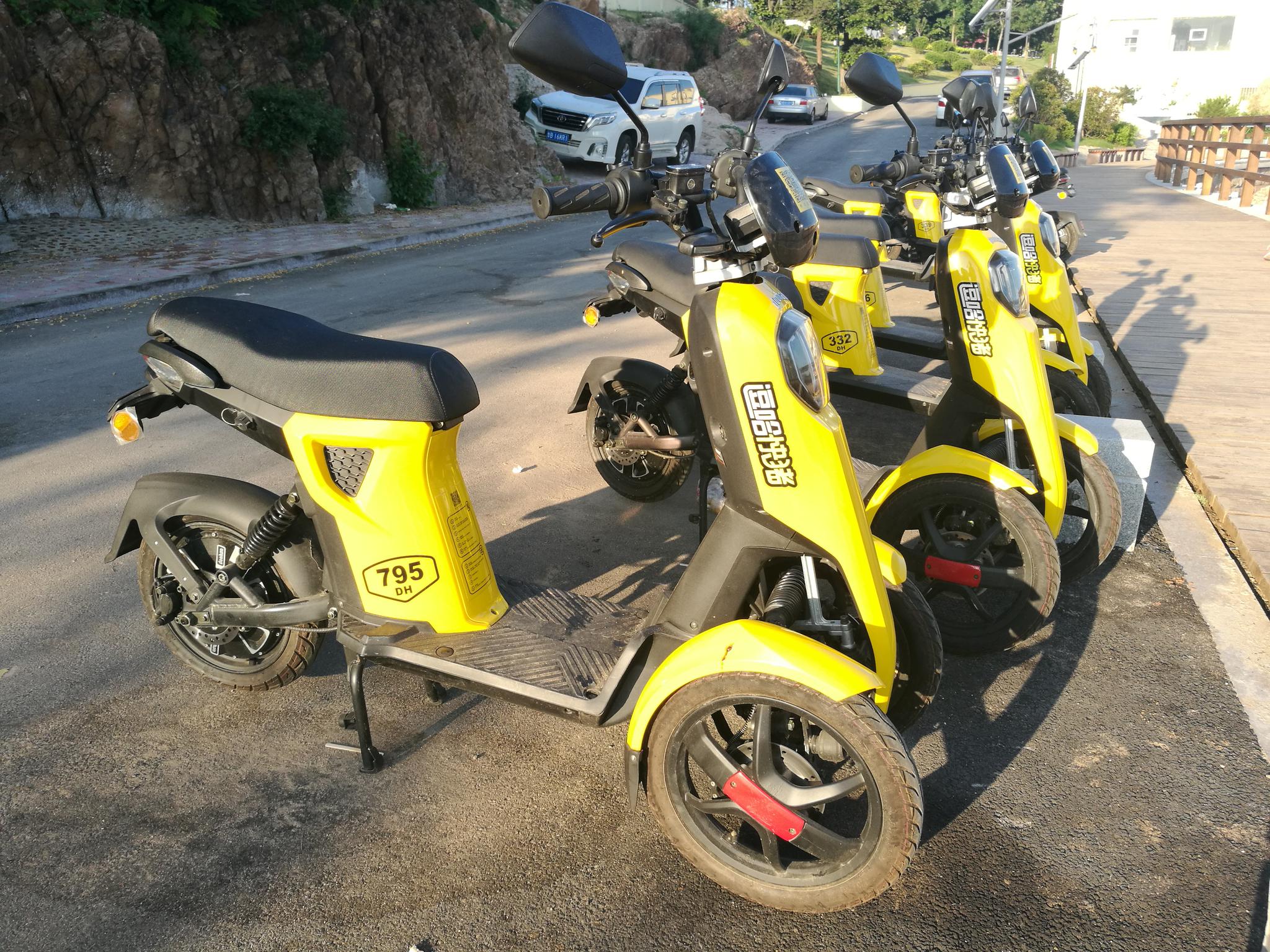 逗哈快猪需要驾照吗