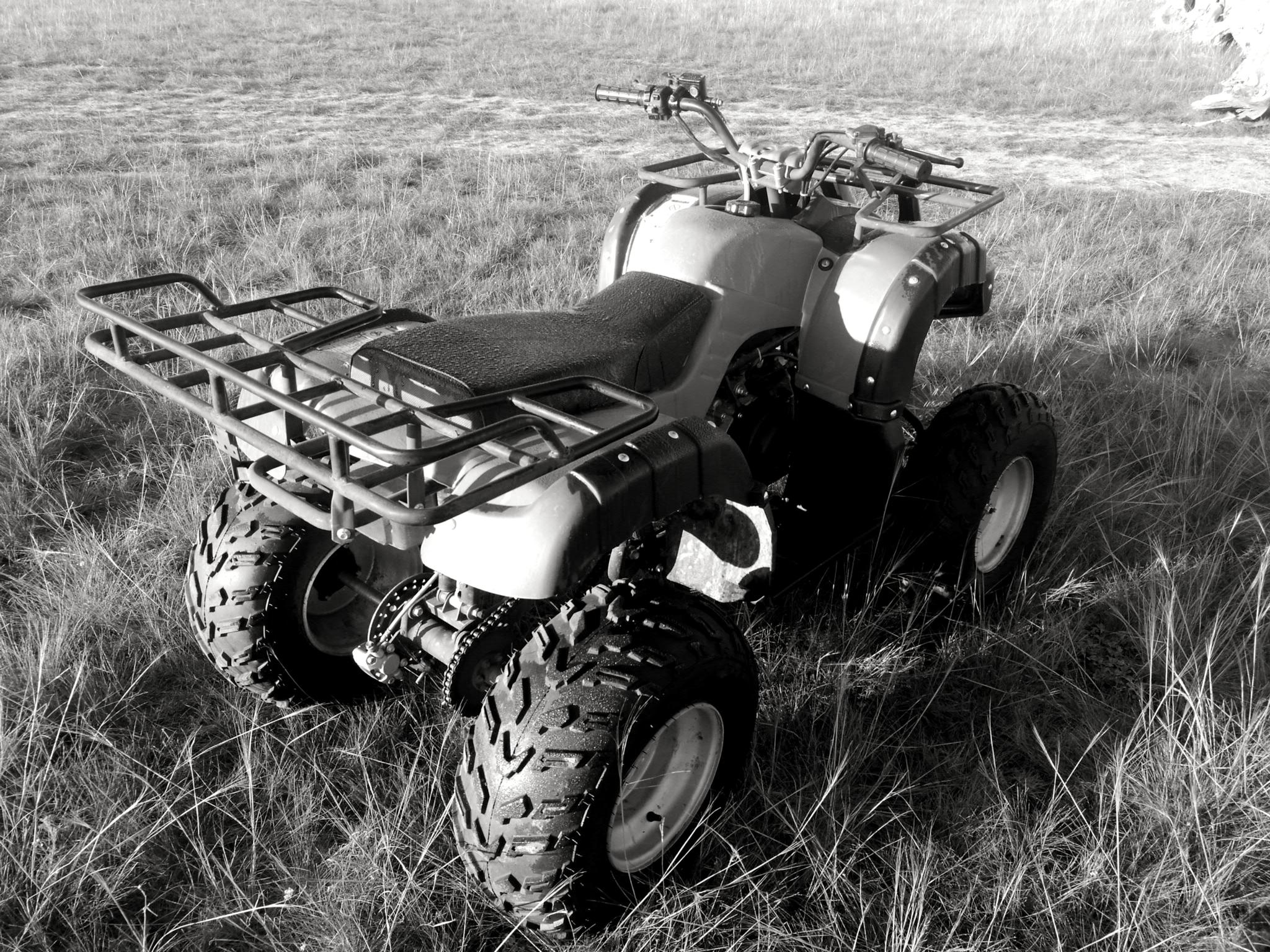 手机黑白原创摄影——草地摩托(手机原图)_新浪看点