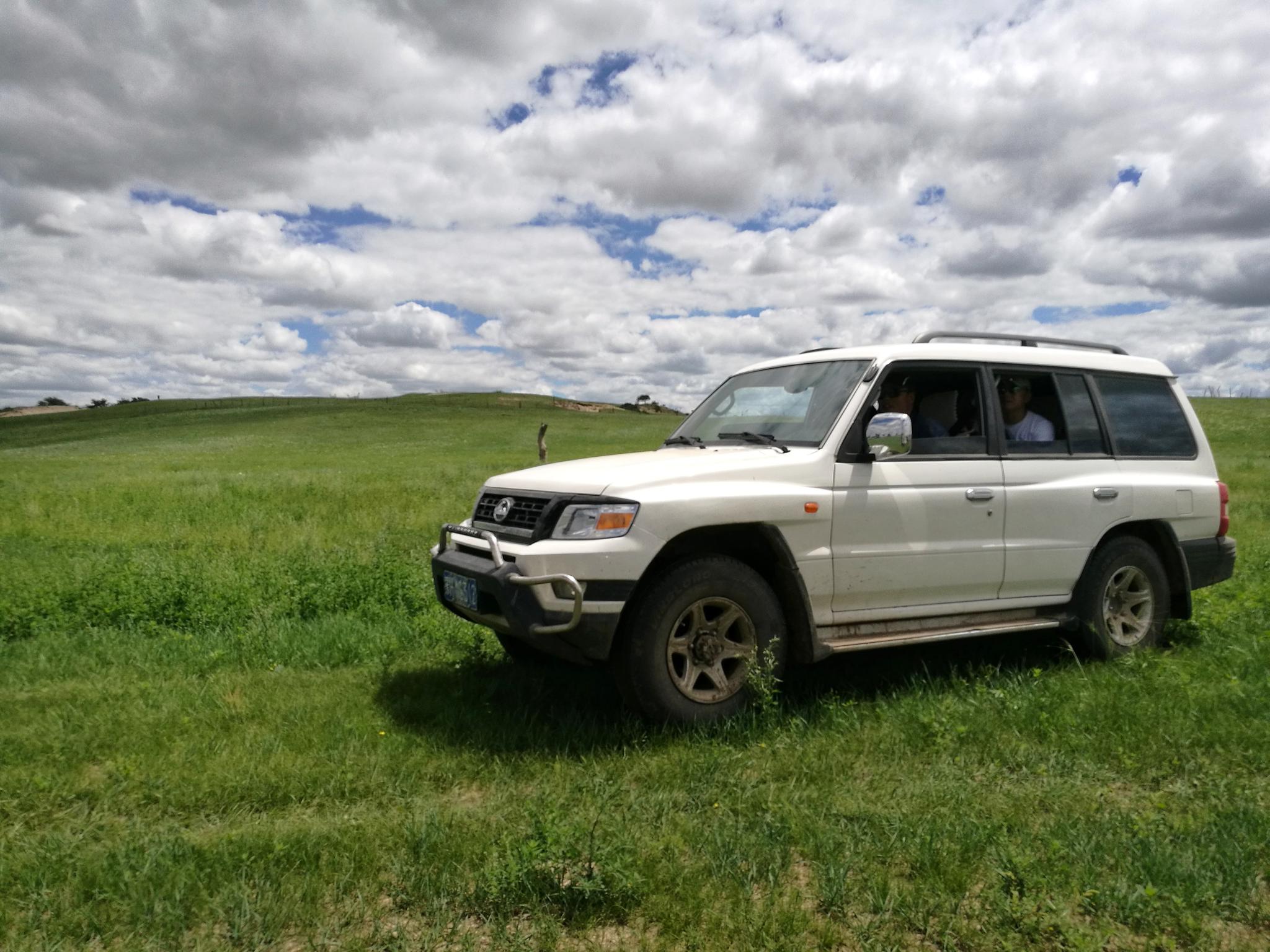 飞驰在广阔无垠的大草原