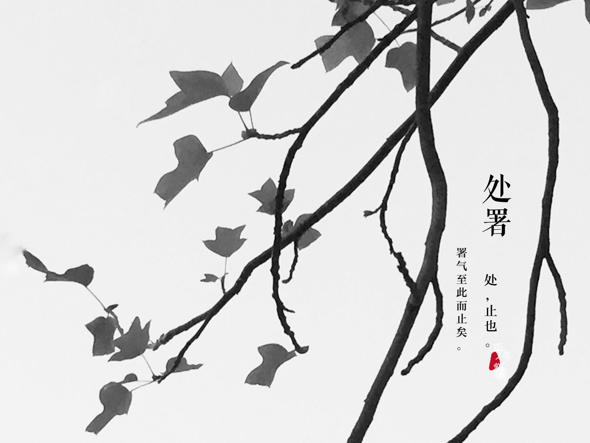 叶子像连衣裙凉挂枝头,贴心提示处暑了夏装该收藏了