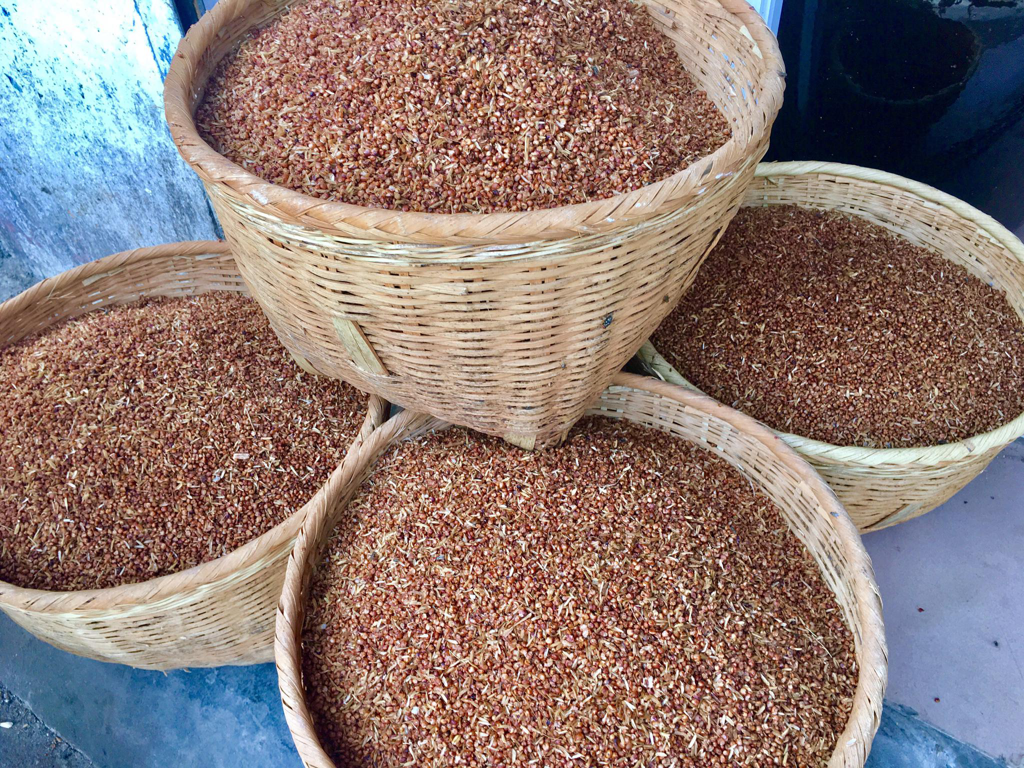 酿酒作坊酒缸酒糟