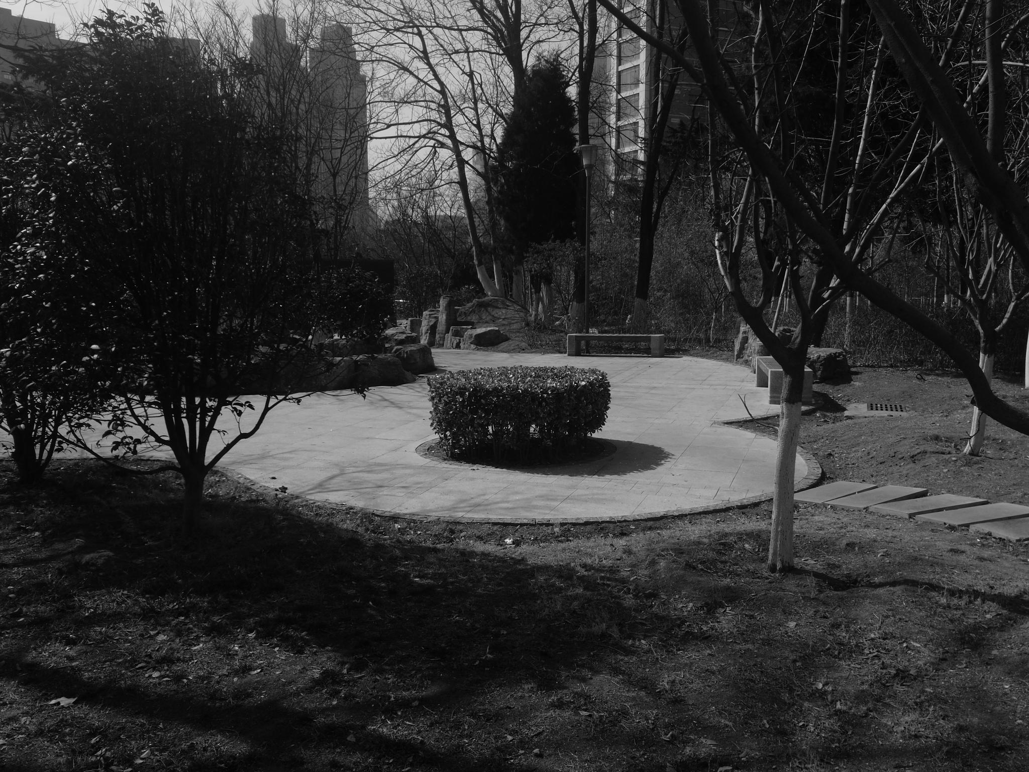 黑白摄影构图练习 寻找图形