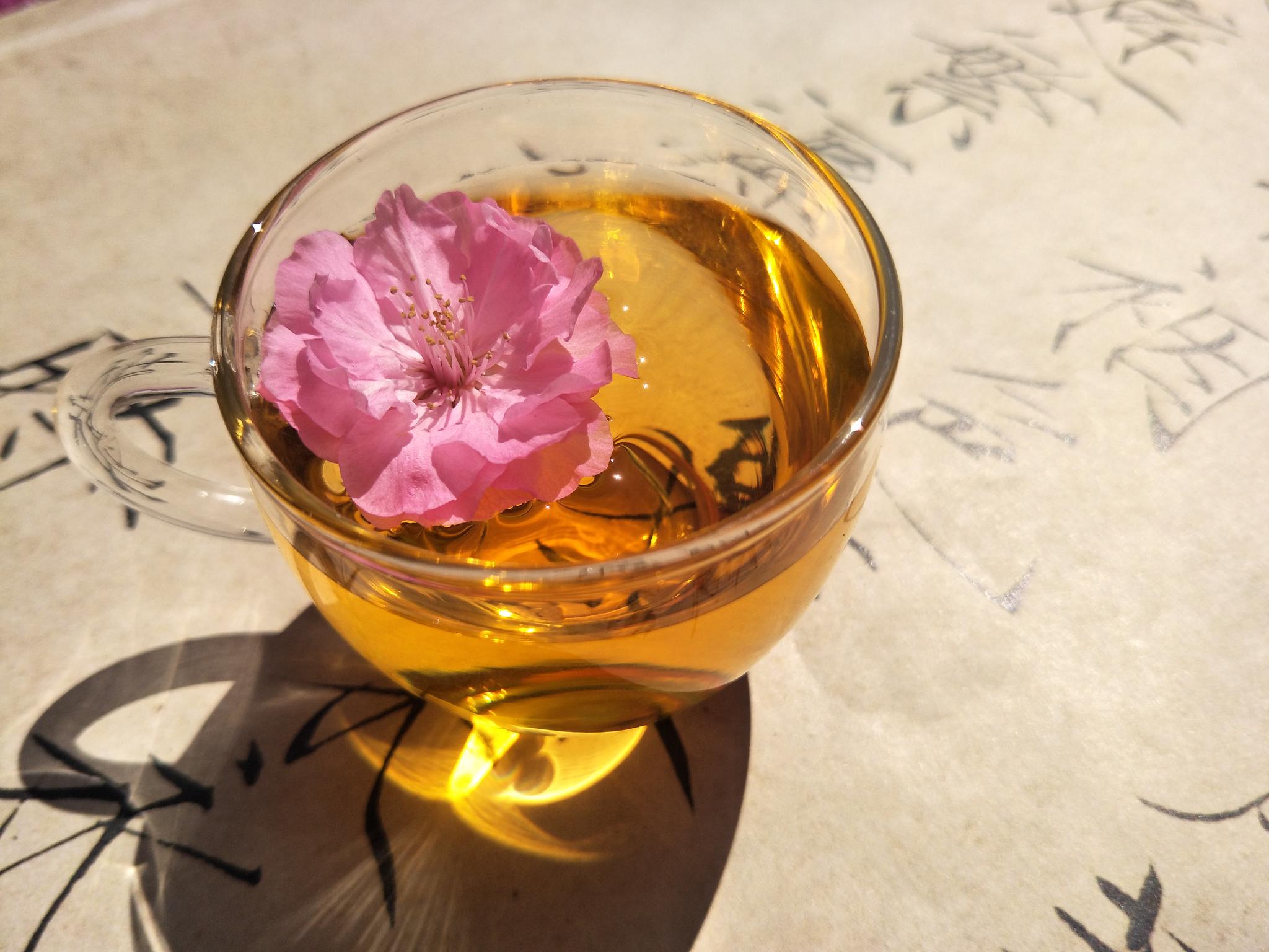 喝一杯桃花茶，获得桃花一样灿烂的心情|桃花茶|桃花|心情_新浪新闻