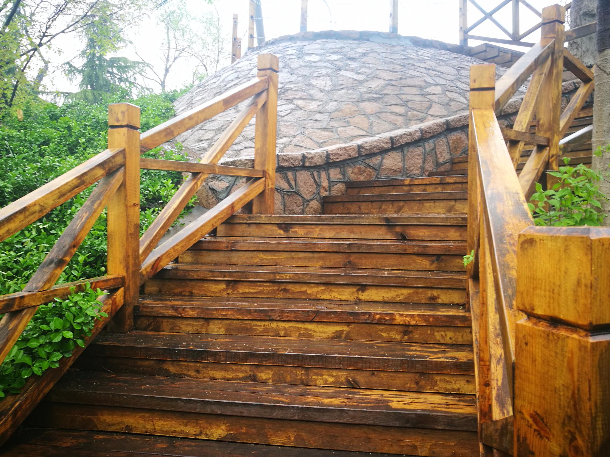 手机随手拍 木栈道