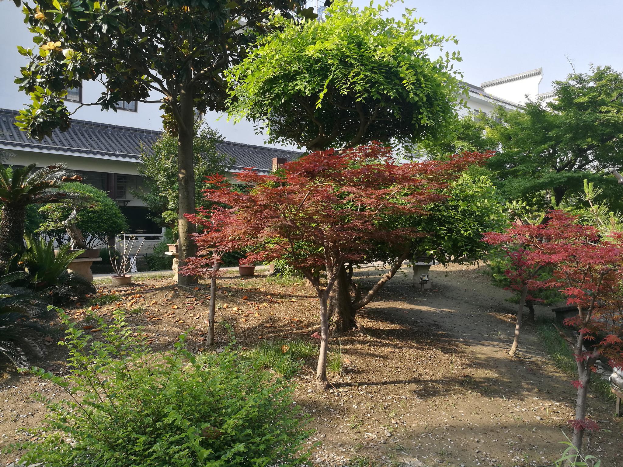 走进如皋绿园,看看小五亭桥