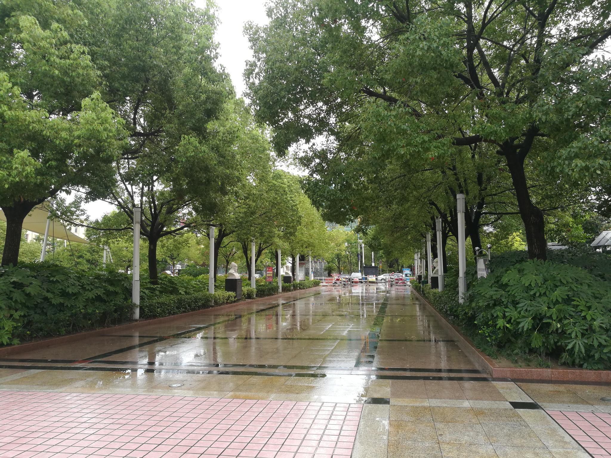 雨后的安定广场