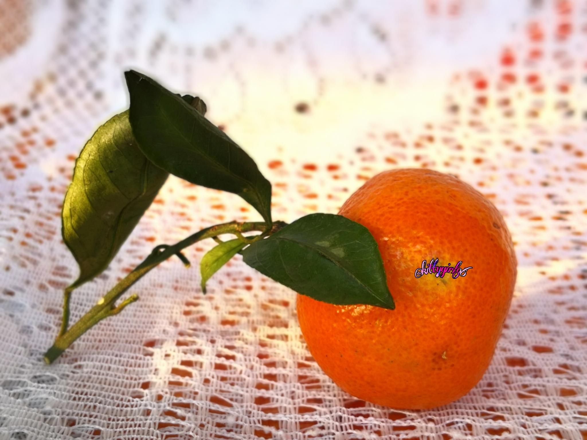 橘子红了3(手机原创摄影作品)