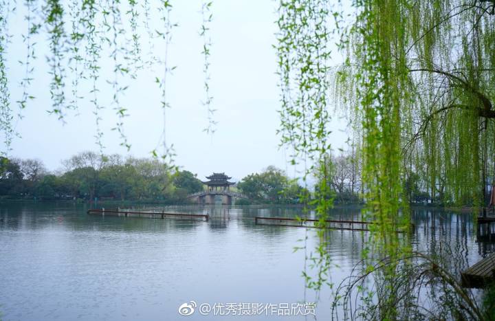 拂堤杨柳醉春烟.