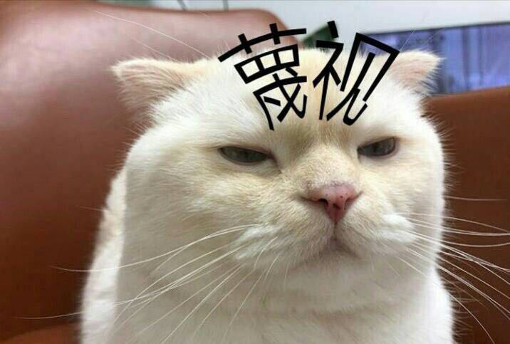 一波本喵眉头一皱,发现事情并不简单的表情包!