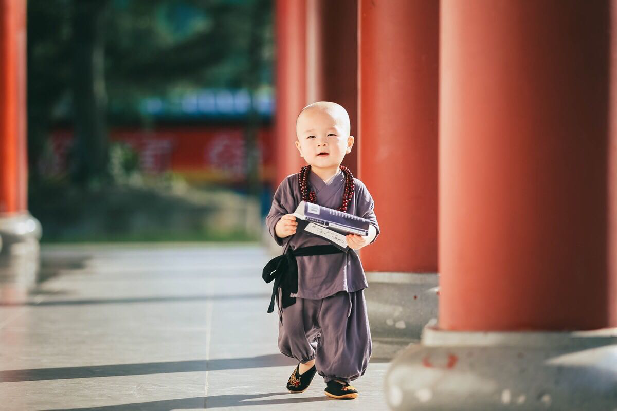 一休小和尚这个小和尚太可爱了