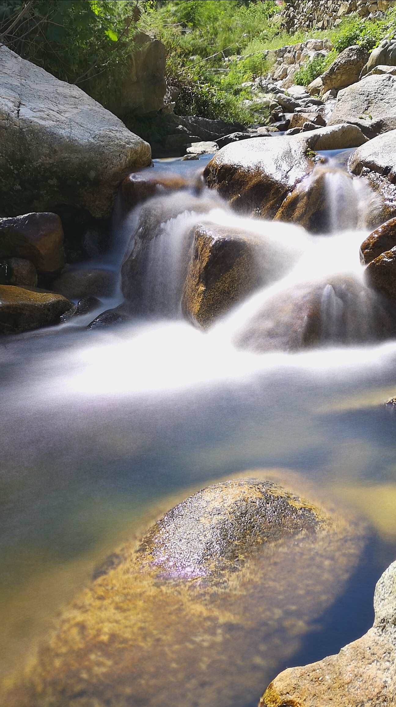 秦岭汤峪深处小河流水享清凉
