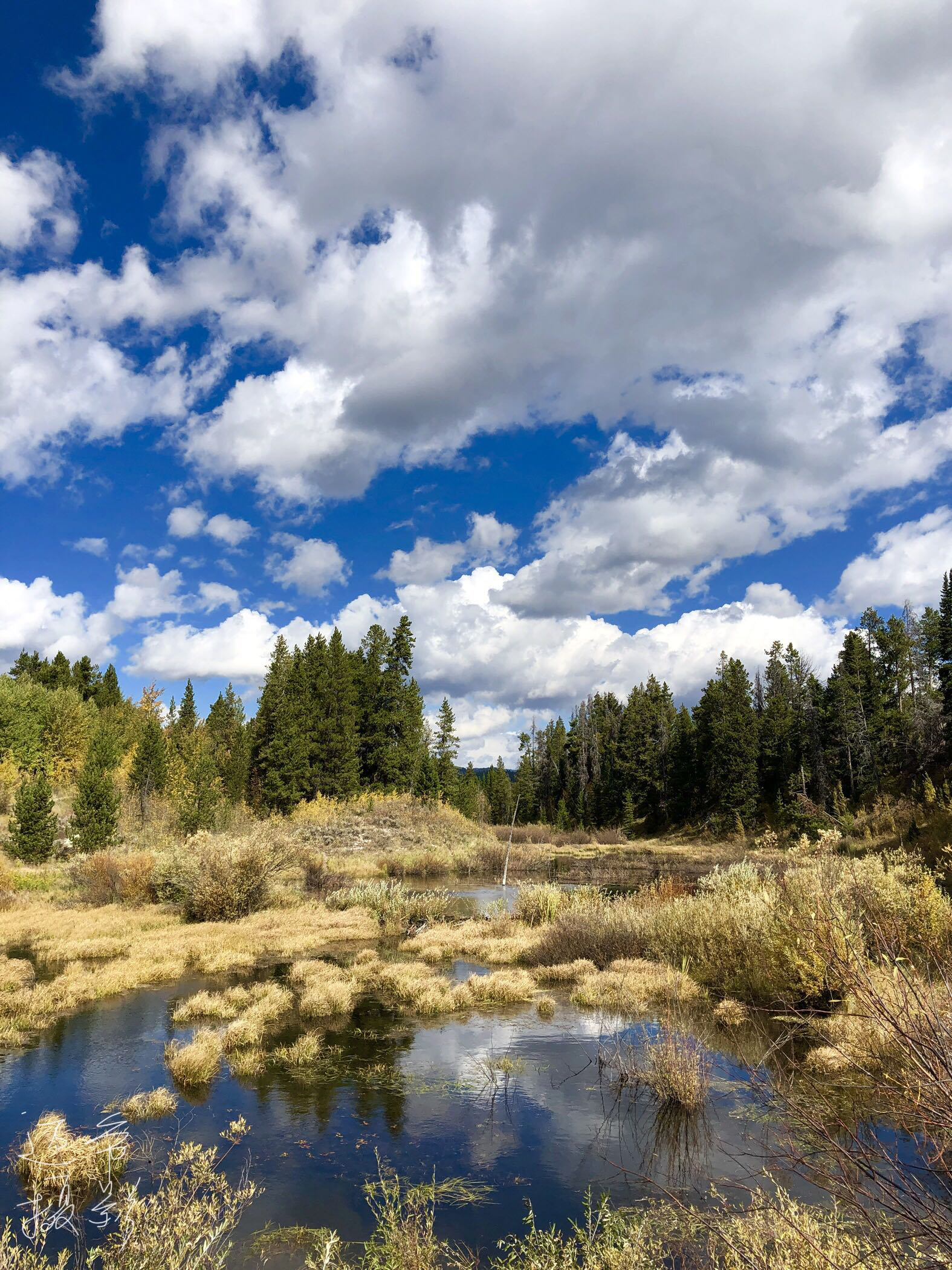 大提顿国家公园风景优美如画【手机原创摄影】