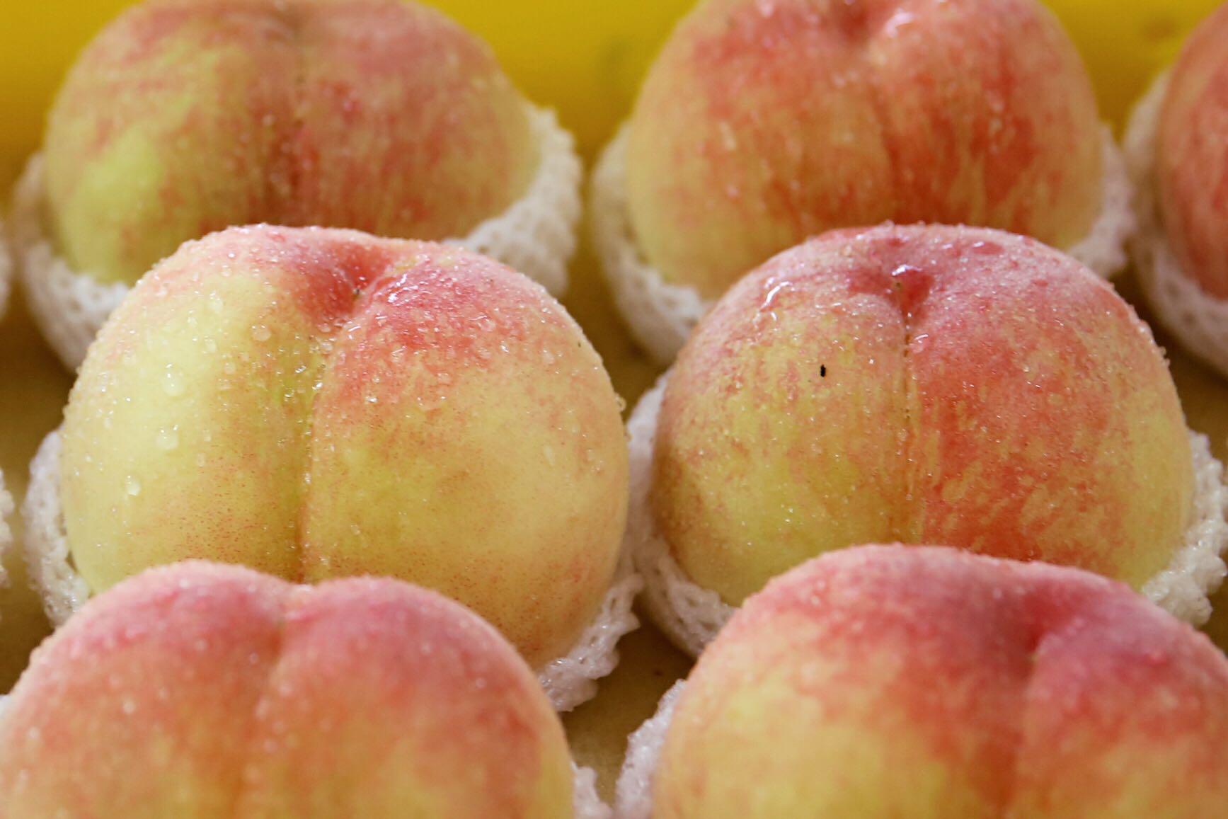 阳山水蜜桃,能用吸管吸的桃