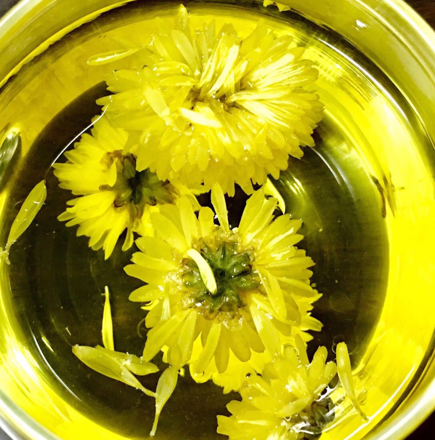 花美汤靓【菊花茶】