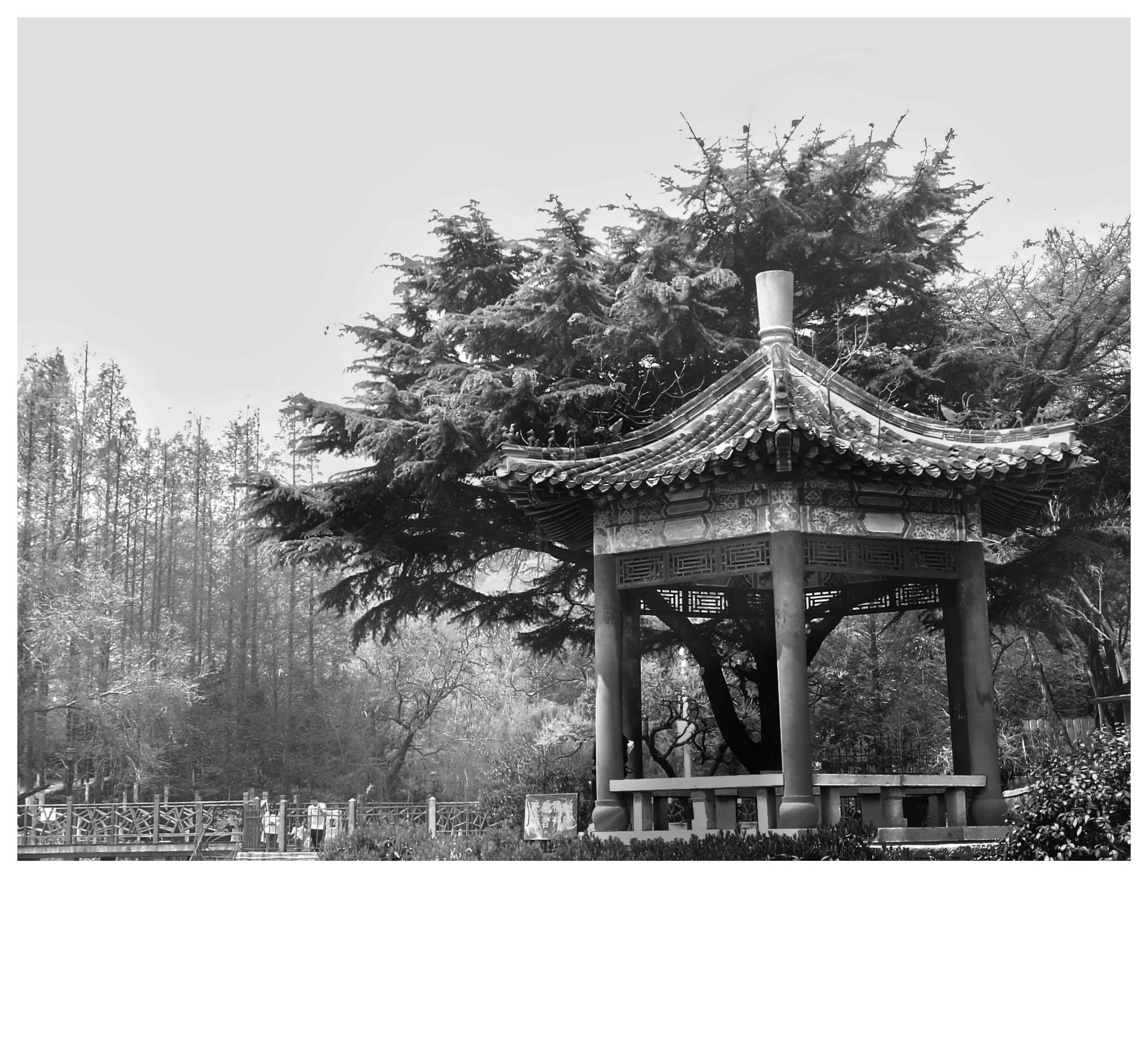 手机黑白随手拍_新浪看点