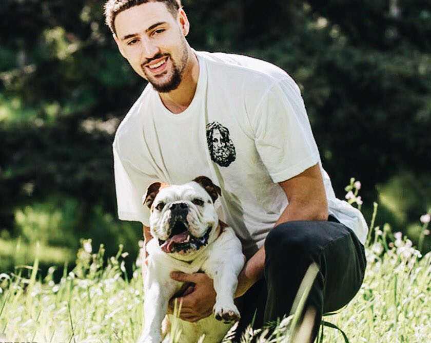 汤普森和他的狗