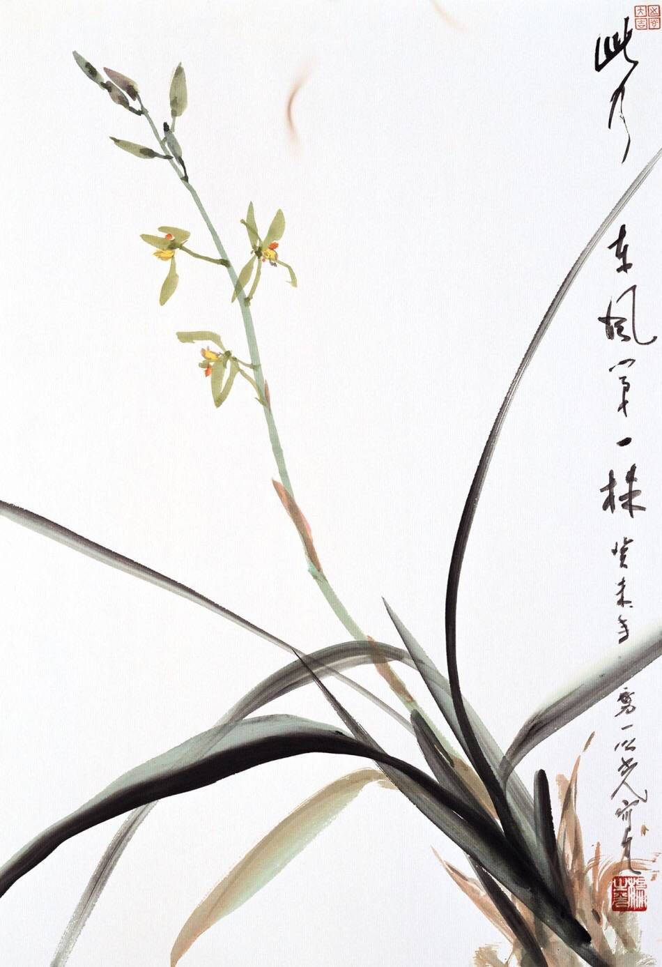 蕙质兰心 … | 杨之光 ·绘