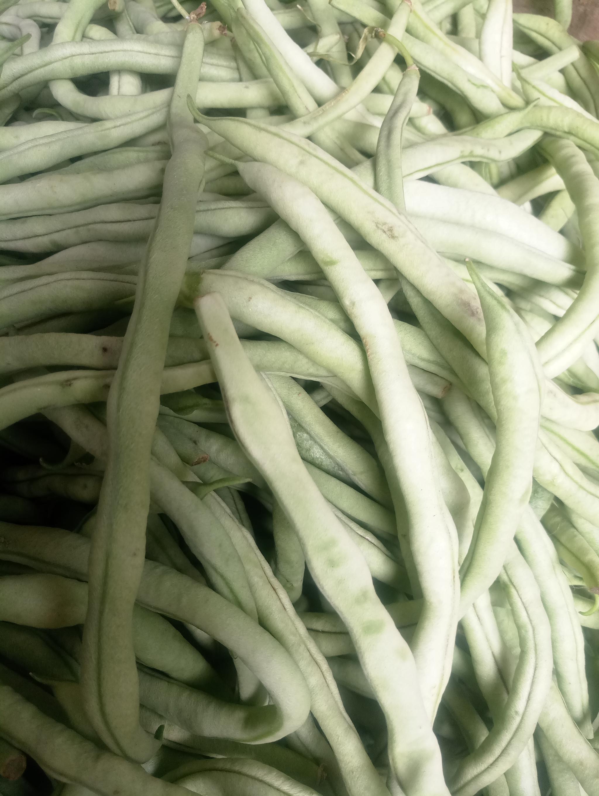 青黄不接的四月瓜菜看起来也状态略逊