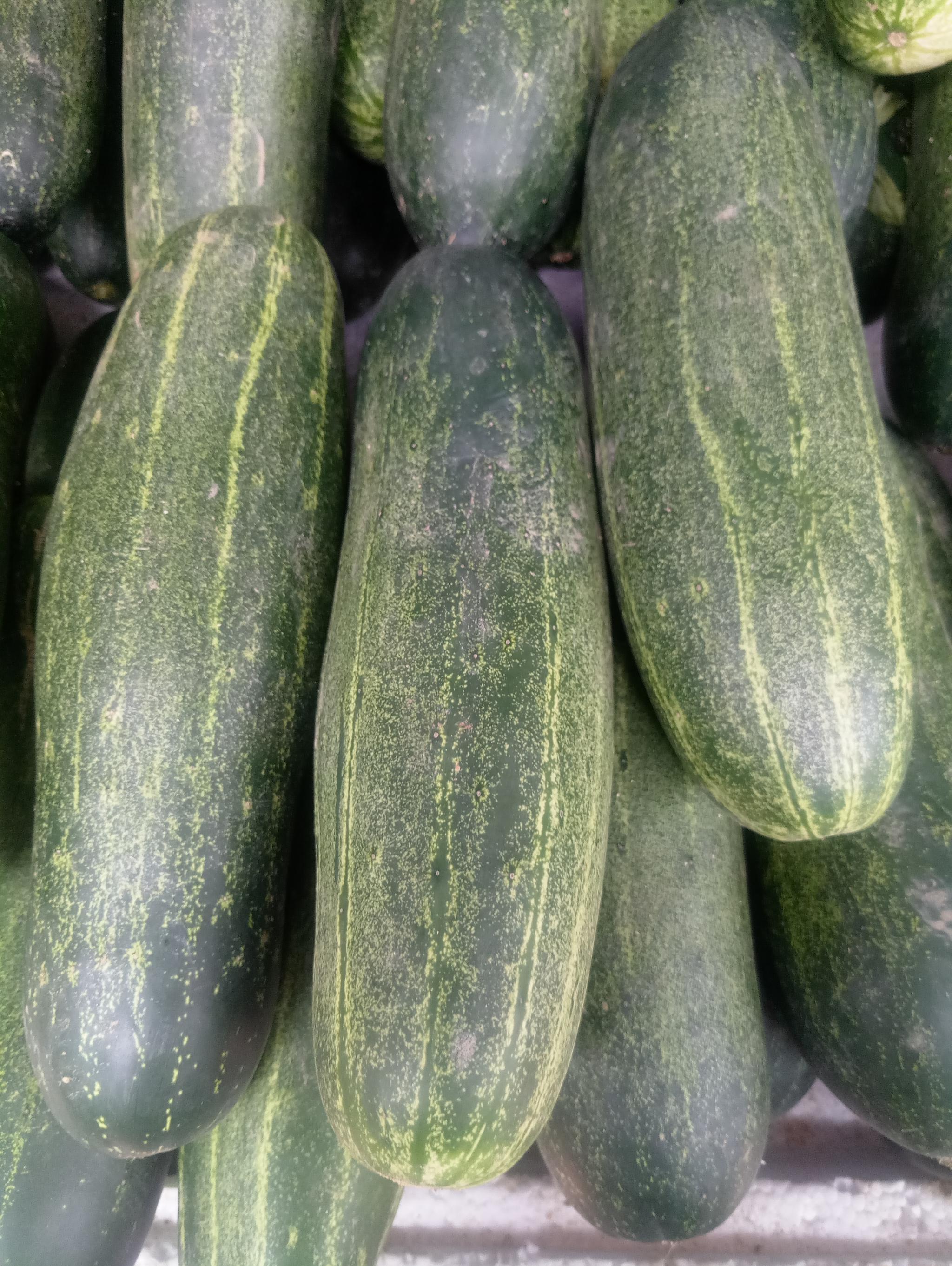 青黄不接的四月,瓜菜看起来也状态略逊