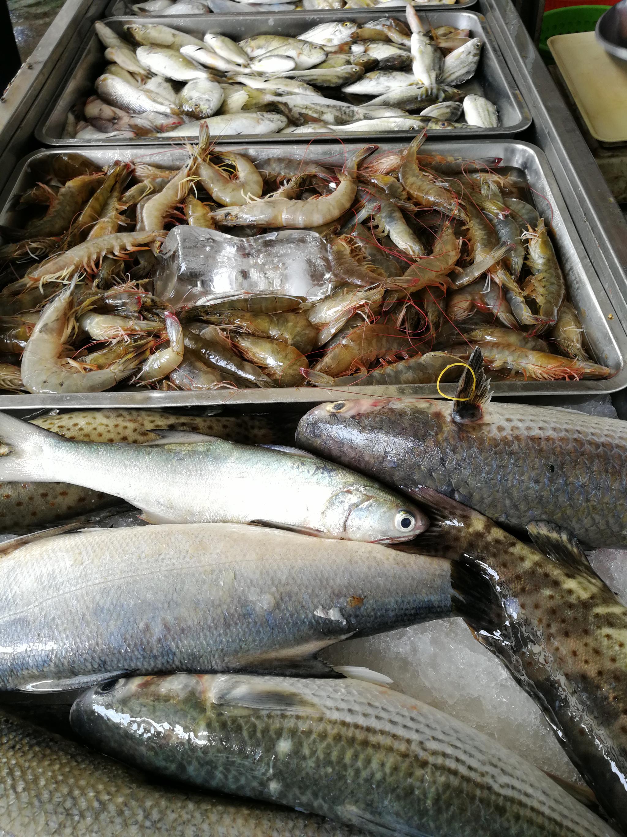 《吴川吴阳海鲜》吴阳属三江汇流口,海产品丰富味鲜