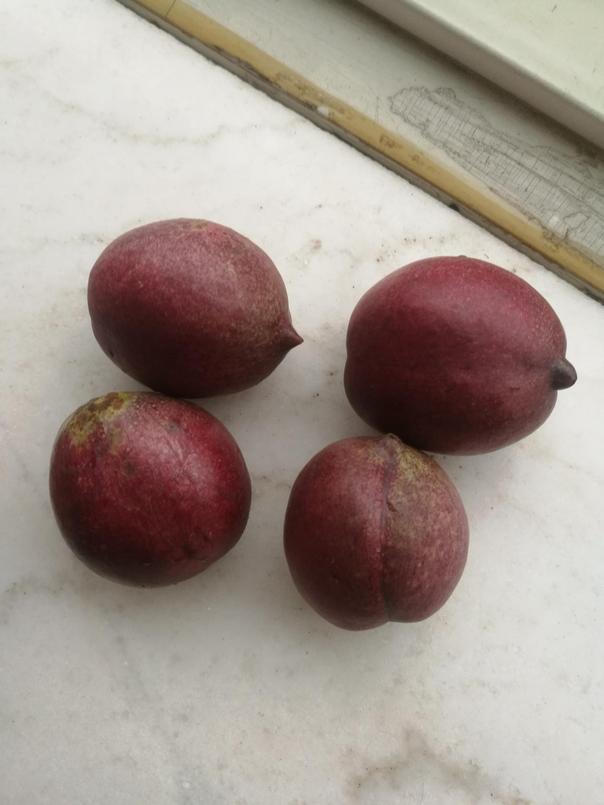 如皋紫桃上市啦,健康长寿食品,快来品尝……如皋紫