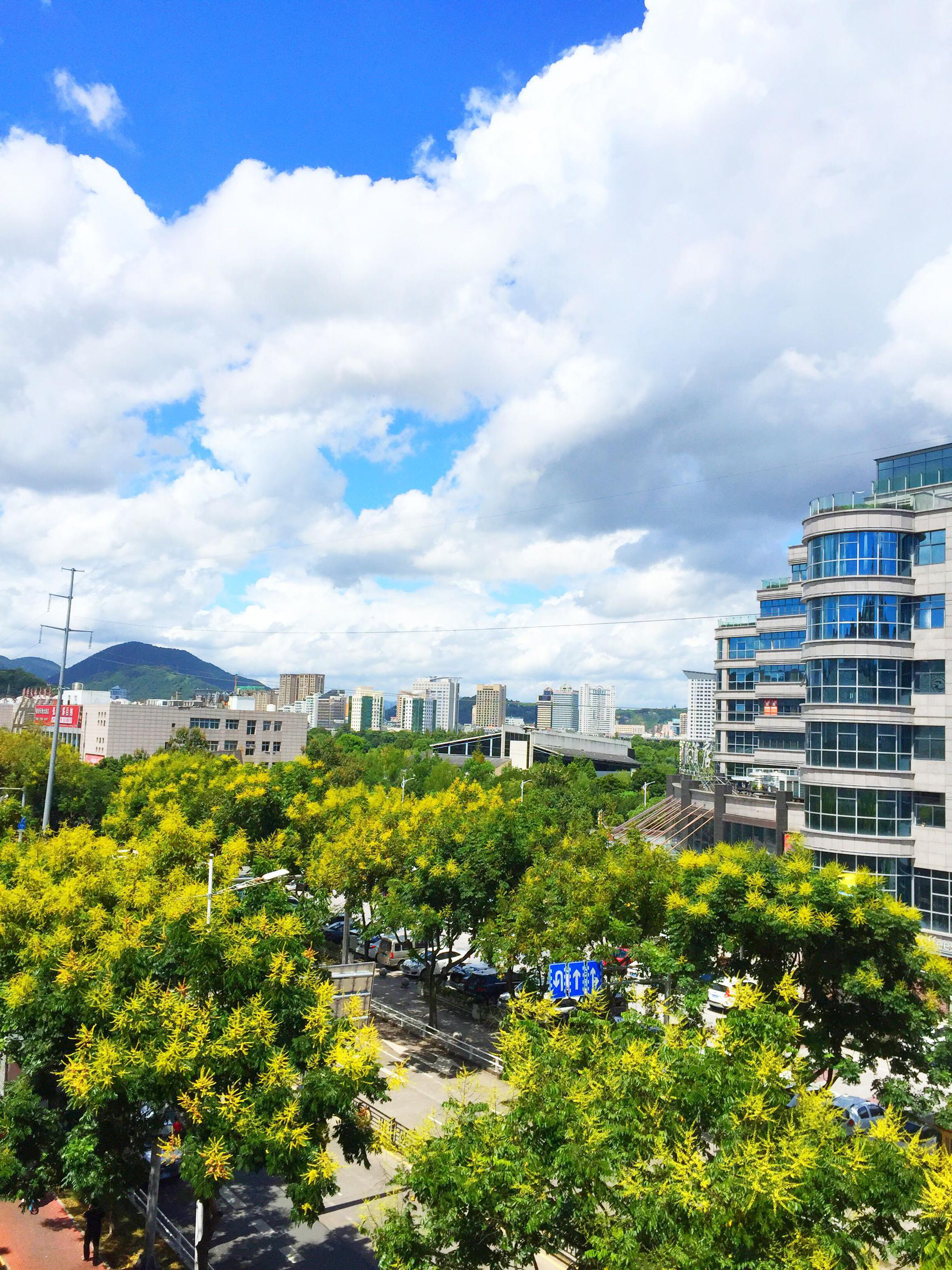 窗外不知不觉已换秋景秋天的颜色从栾树花开晕染