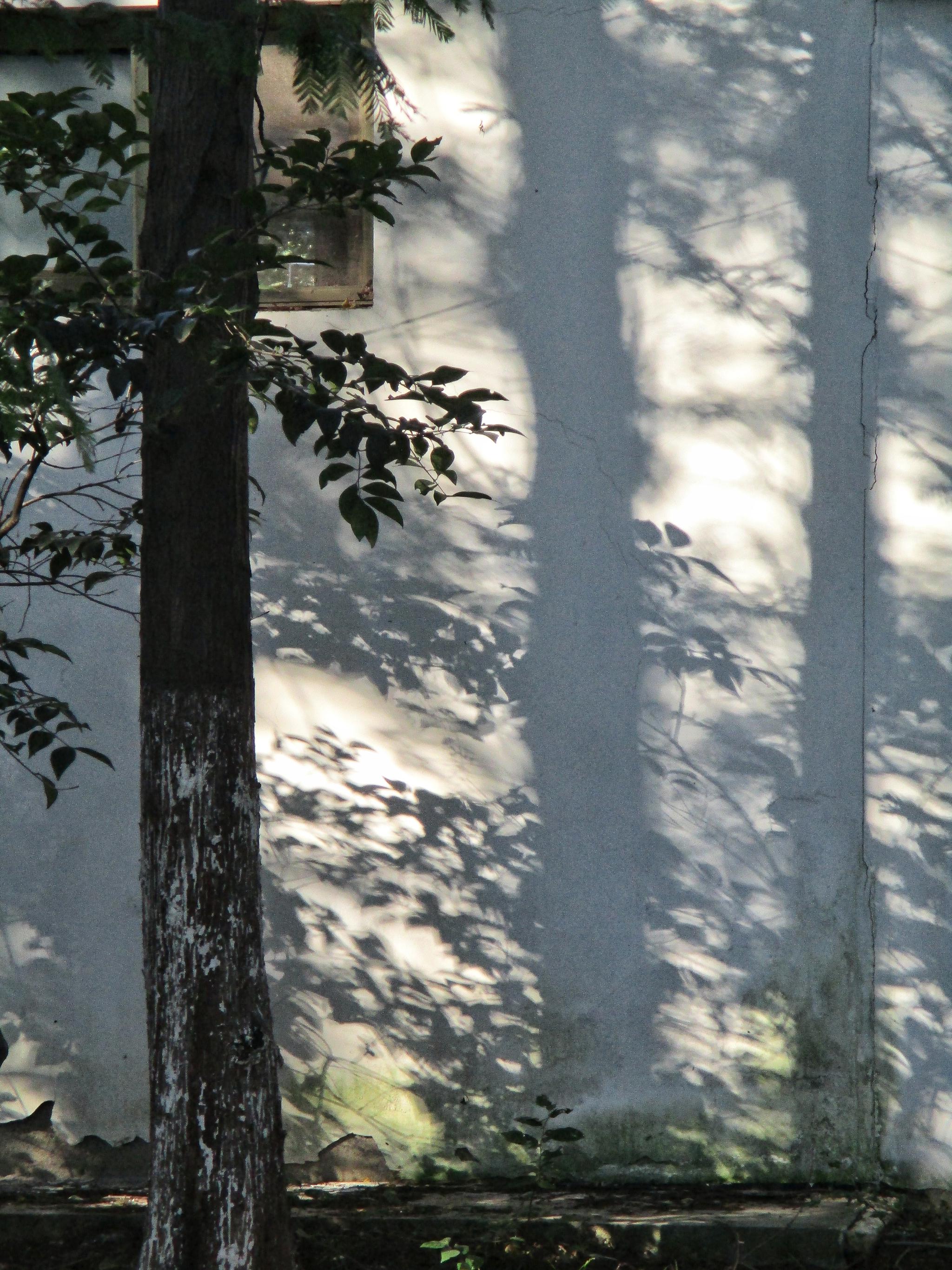 摄影图集 光与影