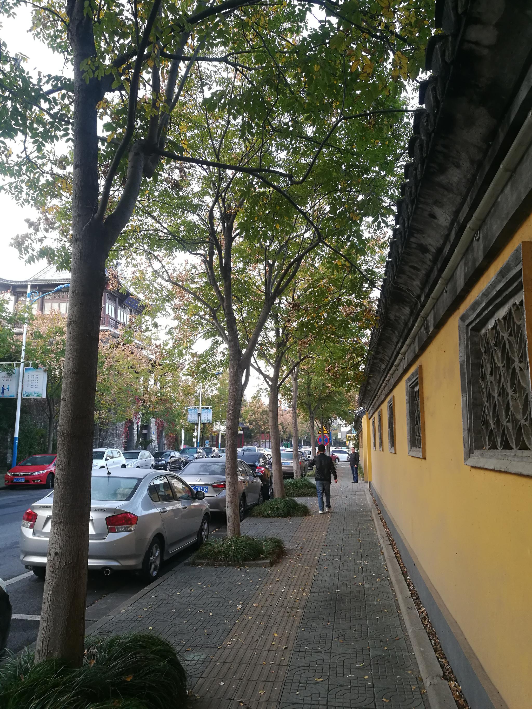 清晨走过文昌路