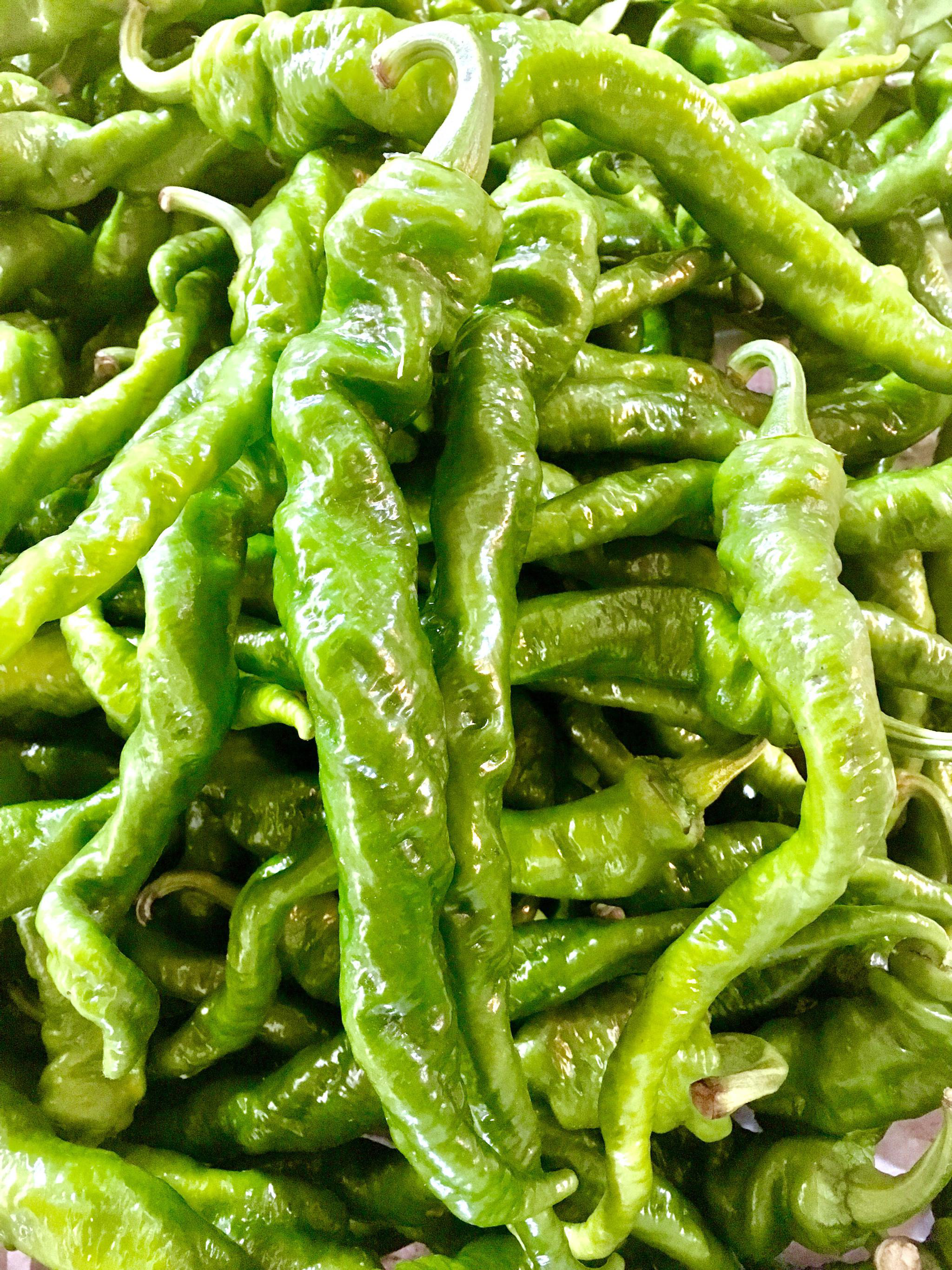 螺丝椒(好有趣的辣椒)|螺丝|辣椒_新浪新闻