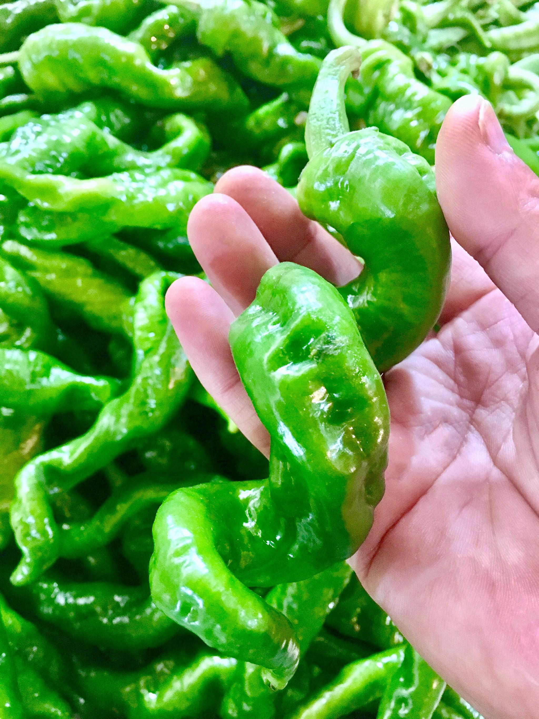 螺丝椒(好有趣的辣椒)螺丝椒(好有趣的辣椒)螺丝