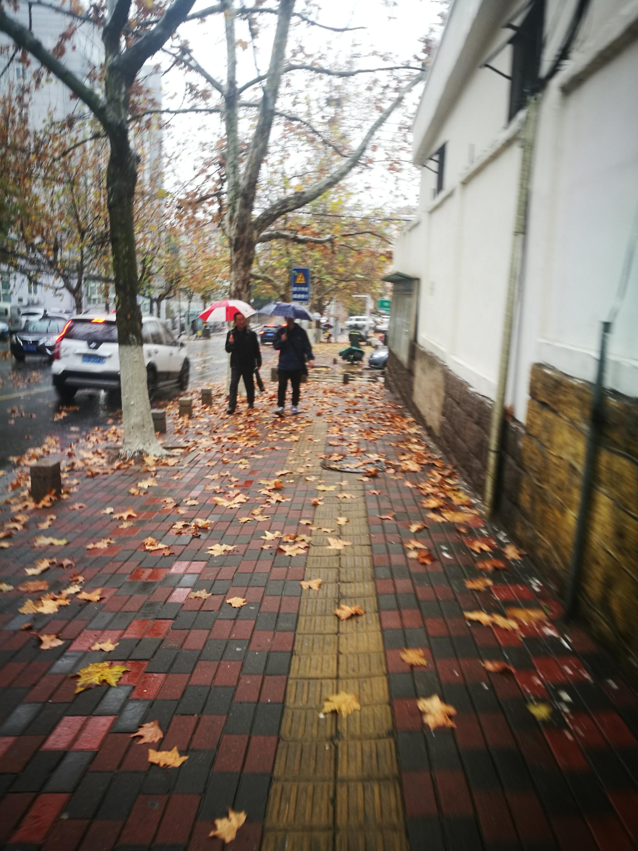 【手机图集】秋雨绵绵