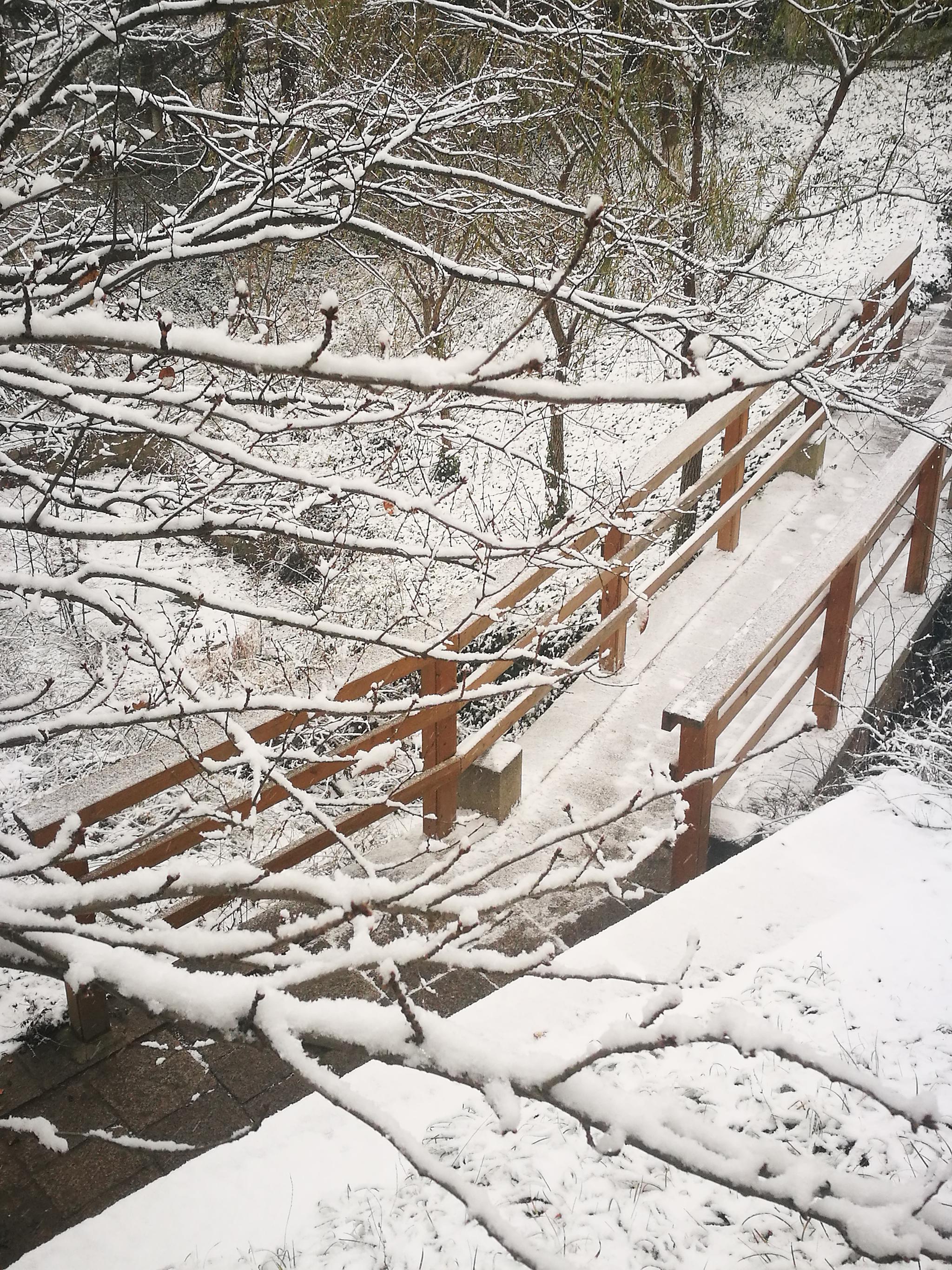 【手机图集】山间雪景小木桥