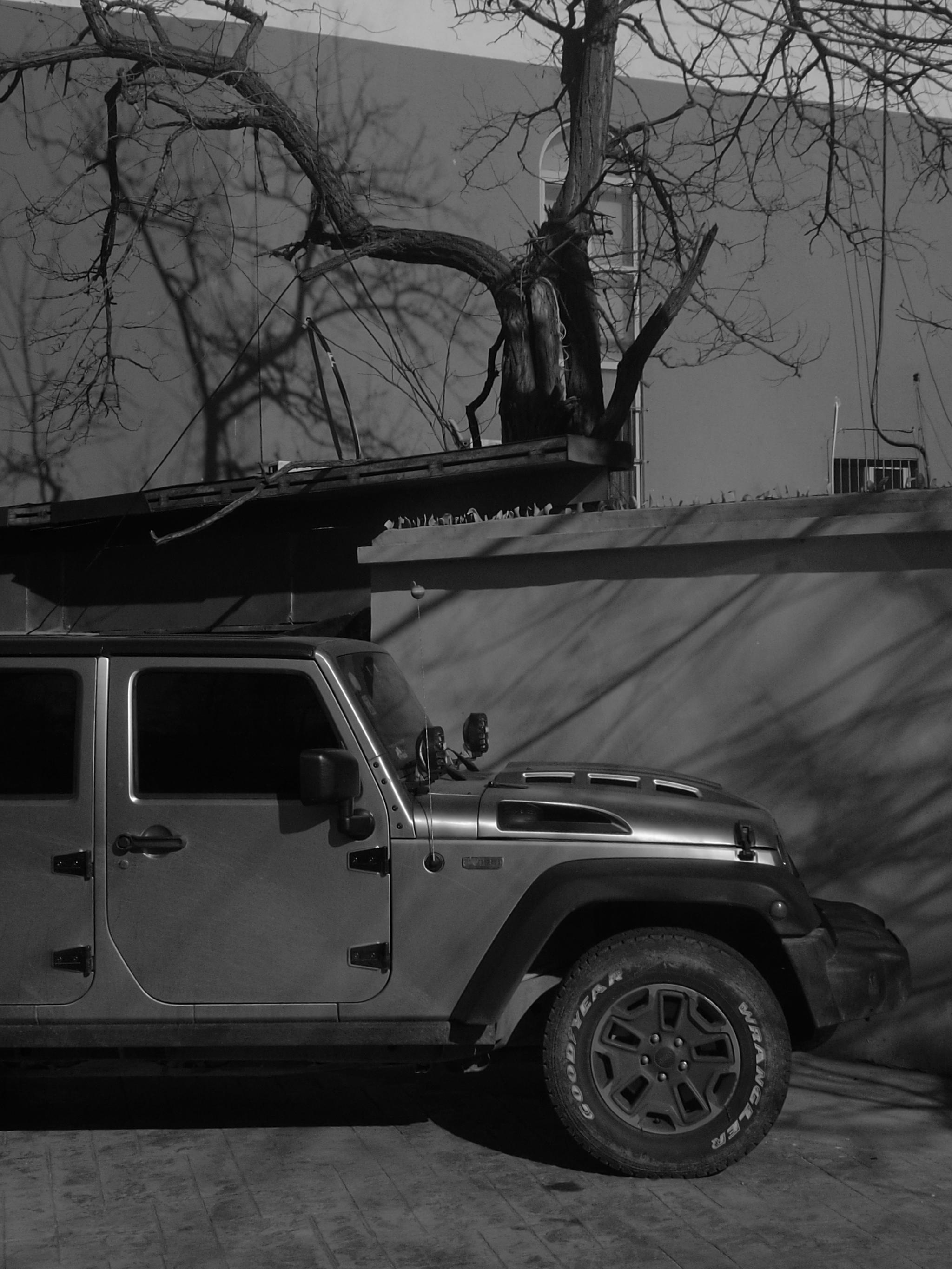 手机黑白图集牧马人吉普车