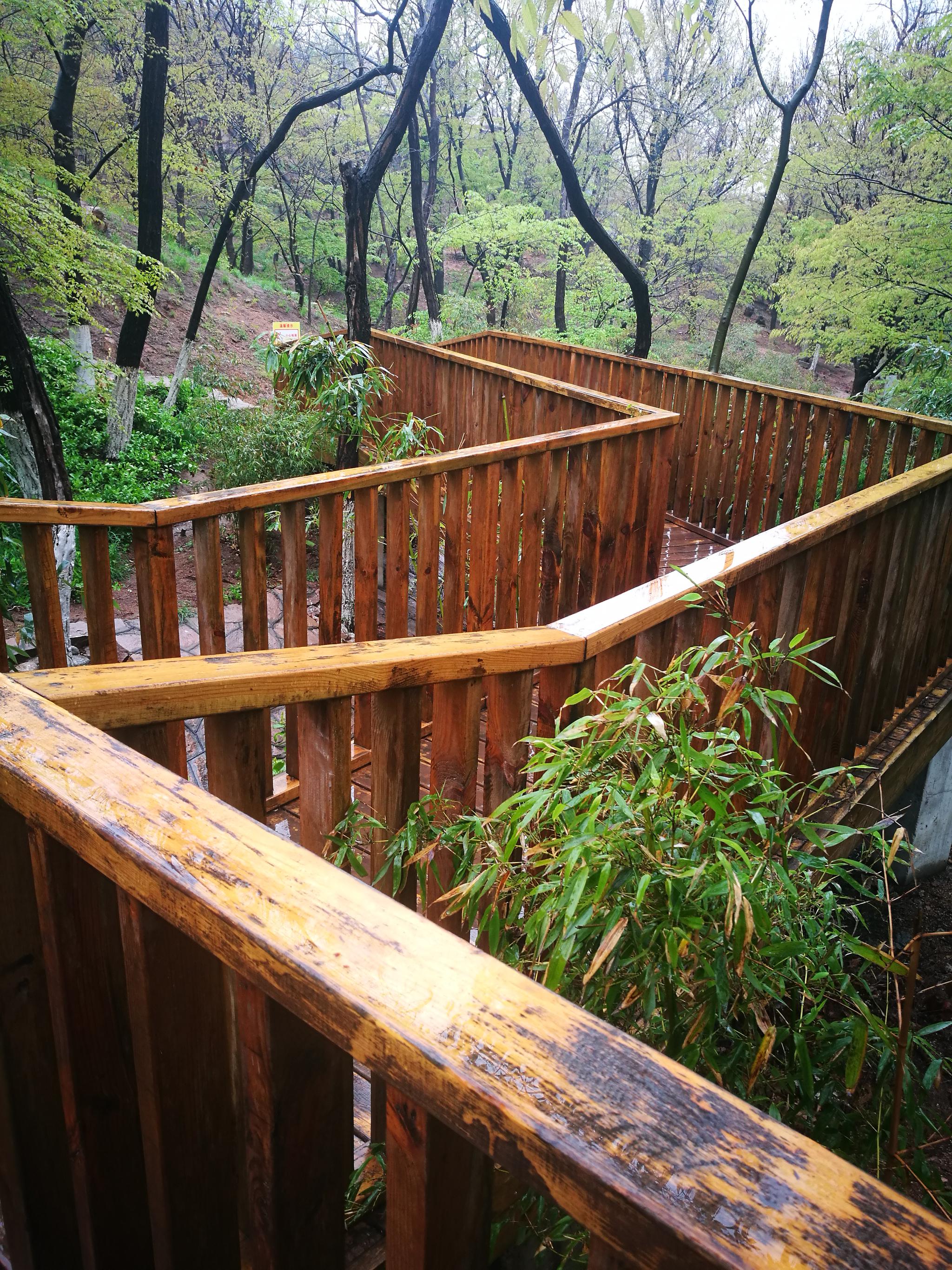 手机随手拍 木栈道|木栈道|手机_新浪新闻