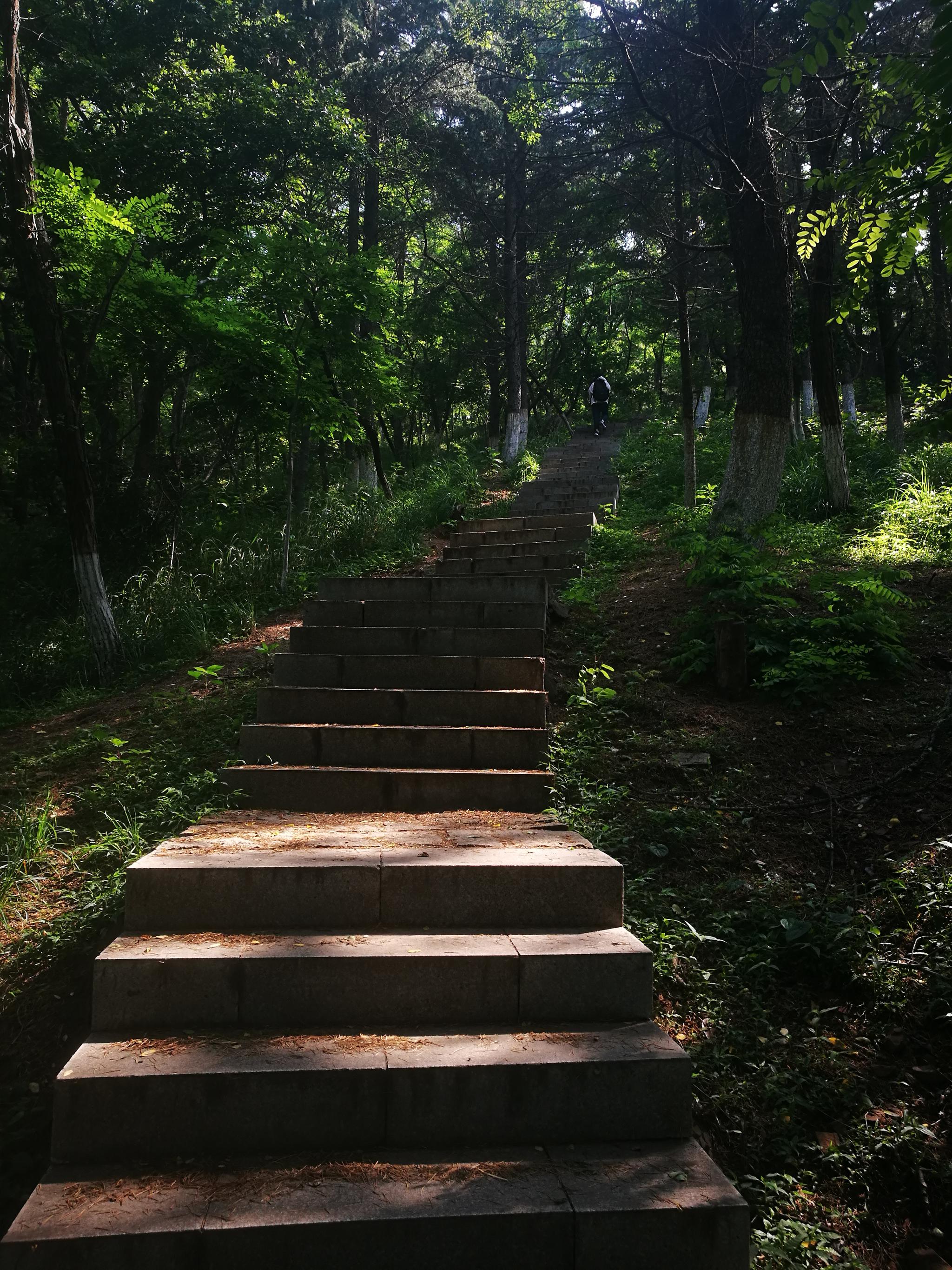 邓小平小道电影在哪儿看