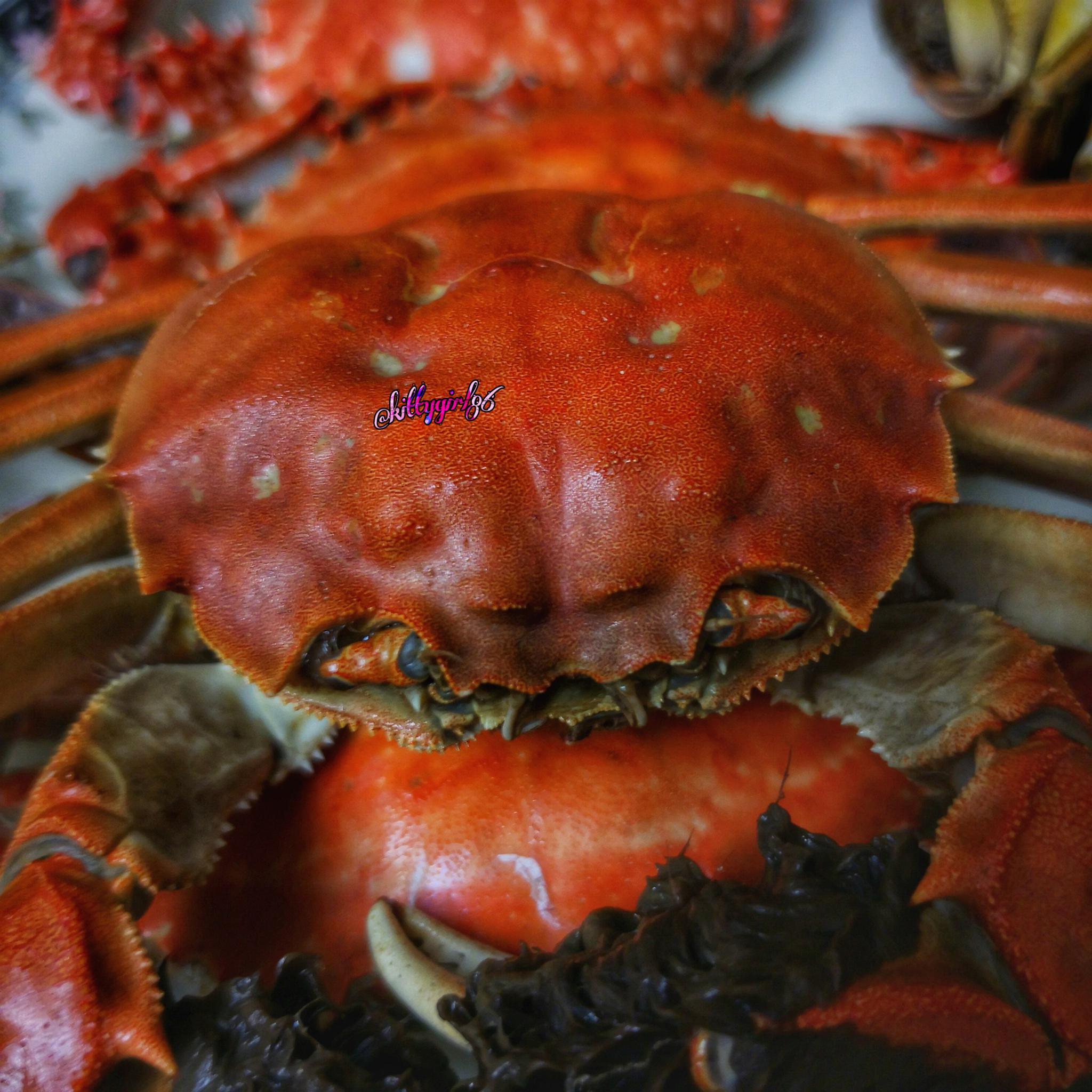 鲜美的河蟹和海蟹!(手机原创摄影作品)