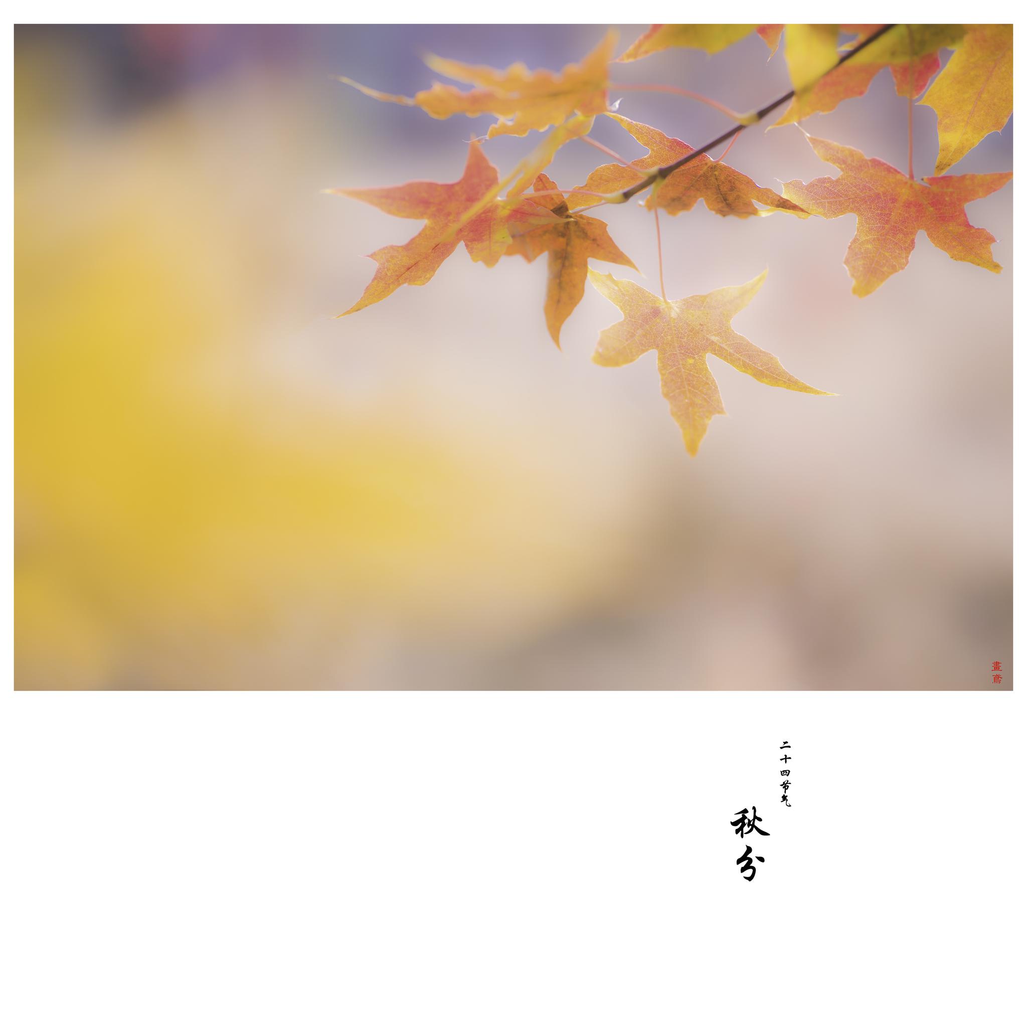 【二十四节气•秋分】阴阳相伴，昼夜均而寒暑平|二十四节气|寒暑|昼夜_新浪新闻