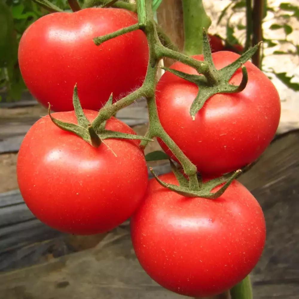 为家人健康一定要看