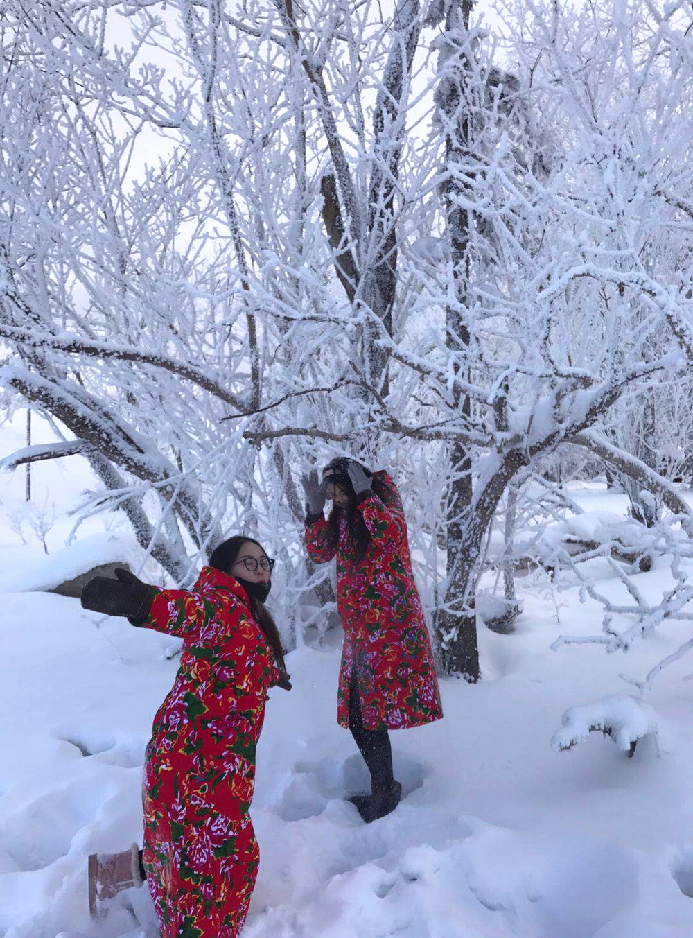 山东大嫚穿棉袄畅游东北 赚足眼球