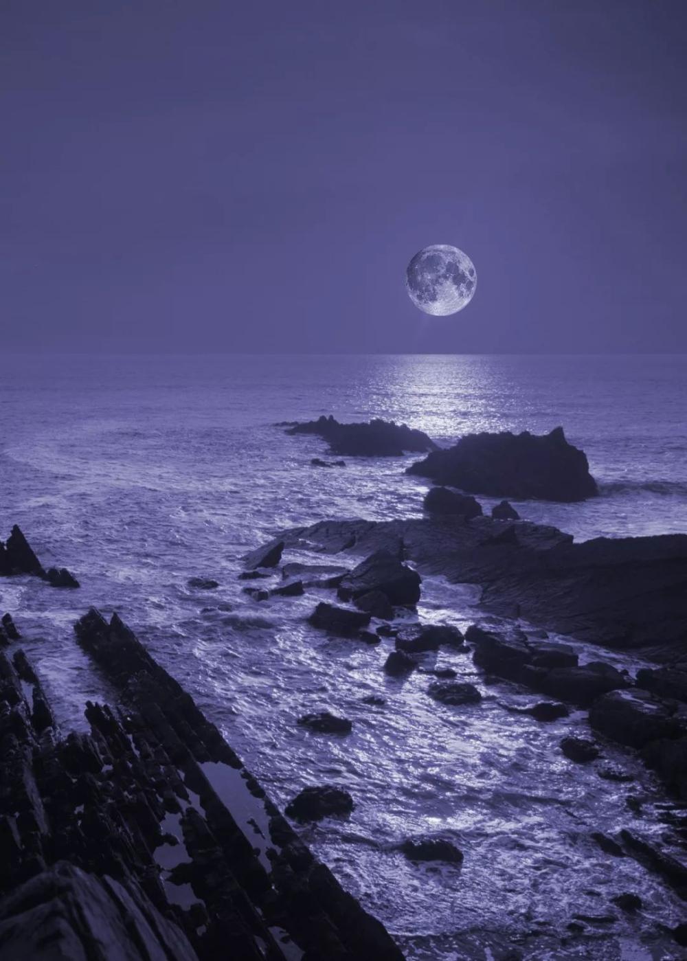 有月的夜, 才是最美的夜, 天涯共此时|月亮|光明|天涯_新浪新闻