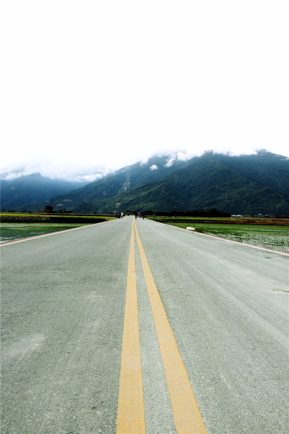 想拍公路美照,来台湾伯朗大道!