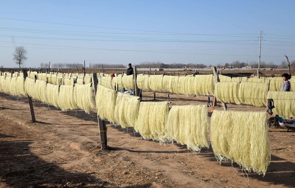 批发粉条生意怎么样