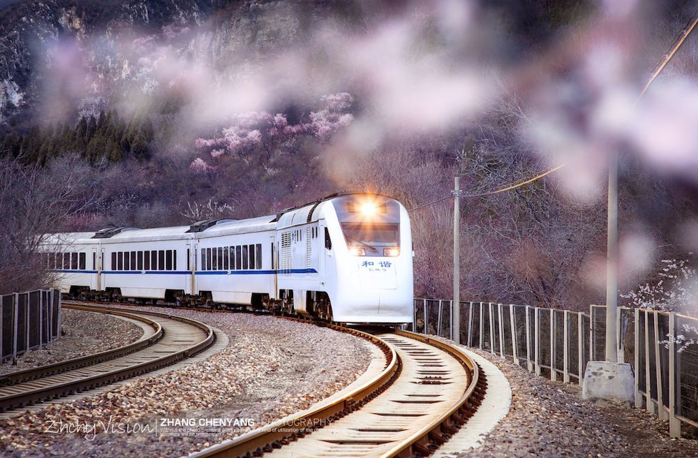 只要6块钱便能坐上这辆樱花专列,穿越粉红的浪漫花海!