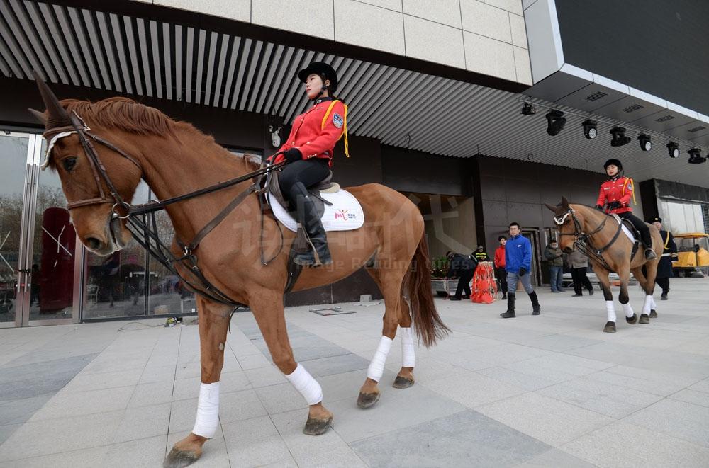 在一次大型购物中心开业庆典上,皇家马术巡礼表演吸引着在场群众.