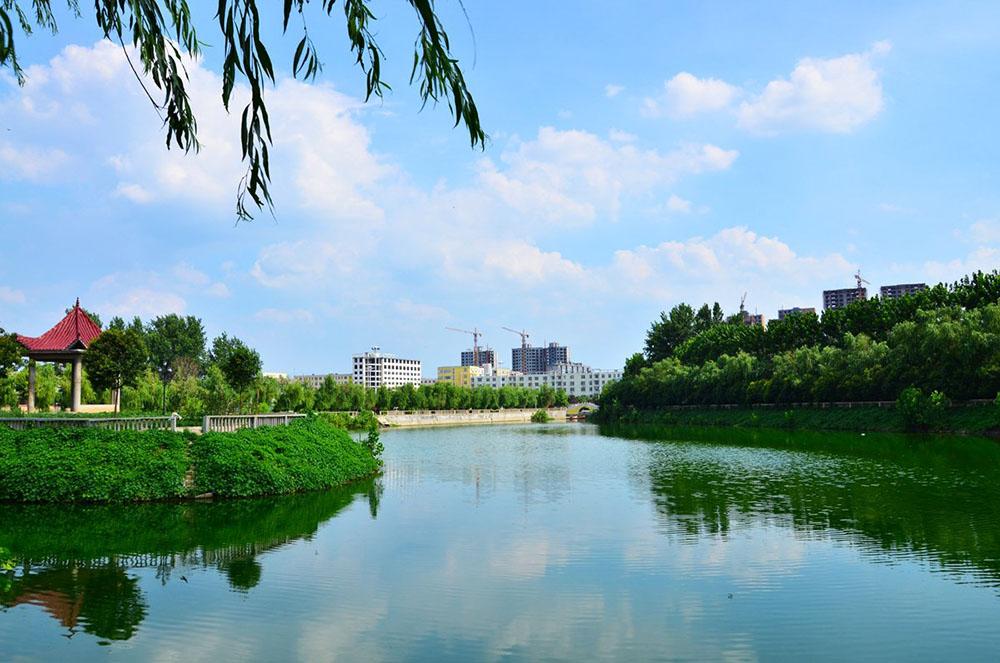 平舆又有大动作, 创建国家森林城市需要"森林"吗?