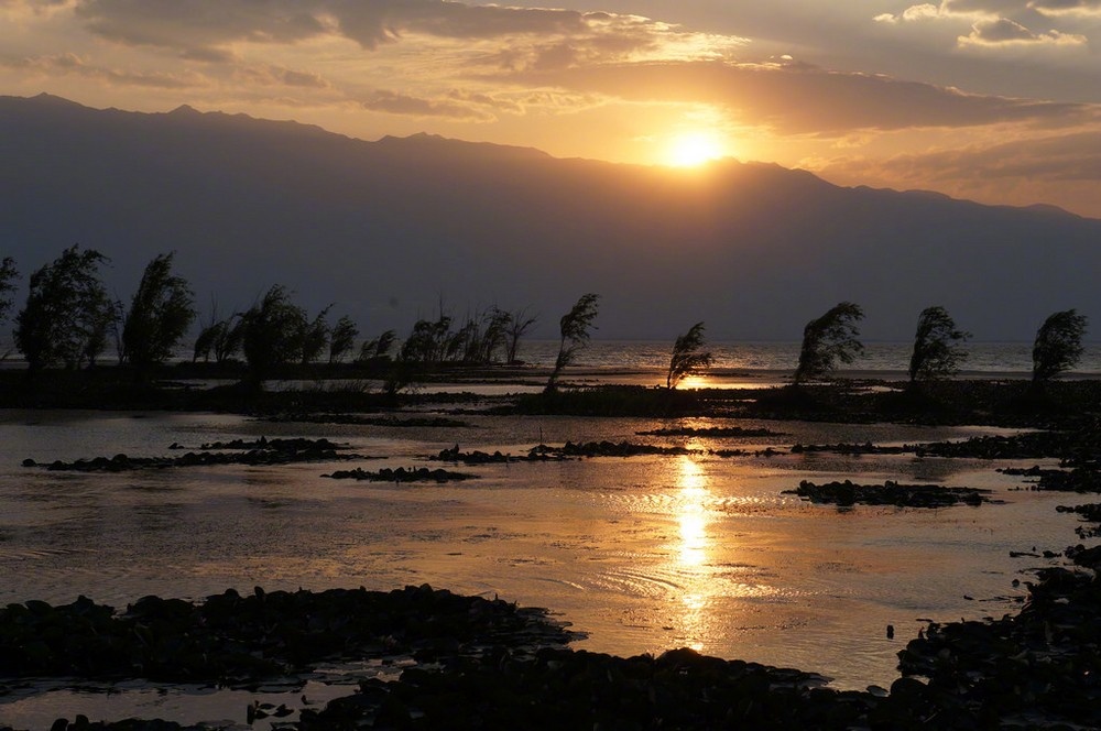 草满池塘水满陂,山衔落日浸寒漪.