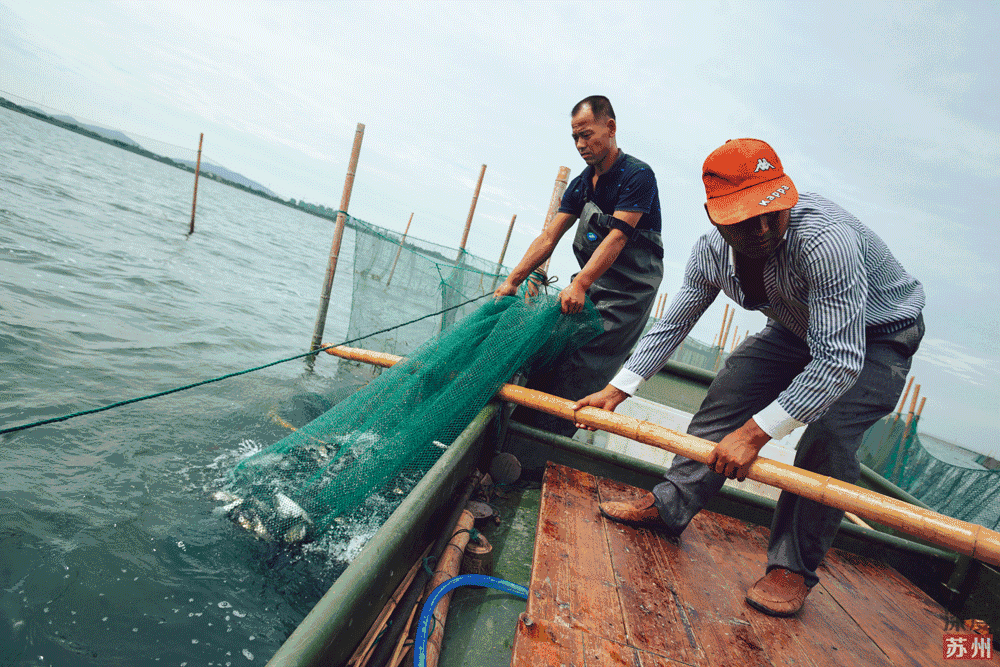 1000_667gif 动态图 动图